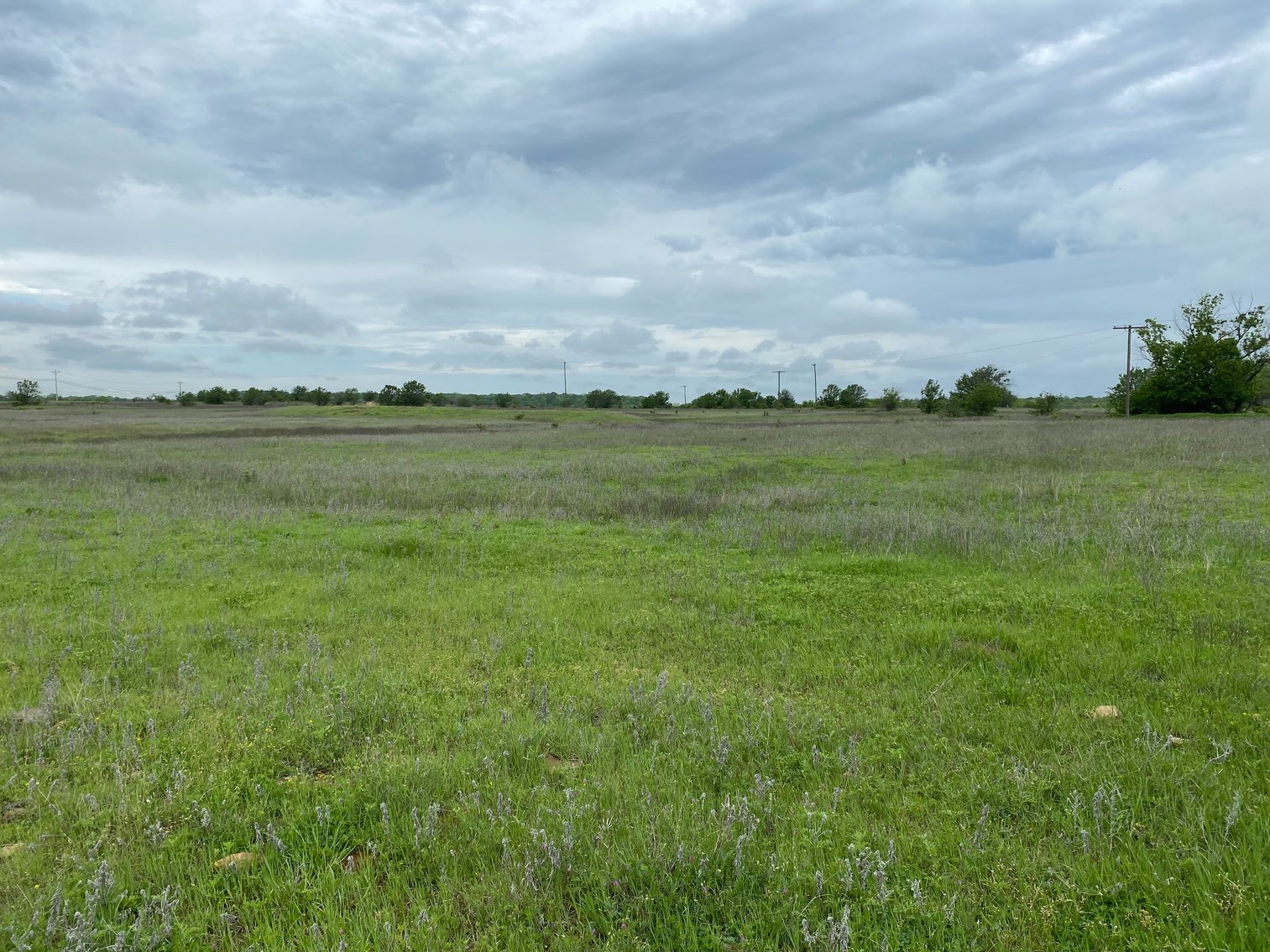 Image for Guardian/Personal Representative’s Real Estate Land Auction - Skiatook
