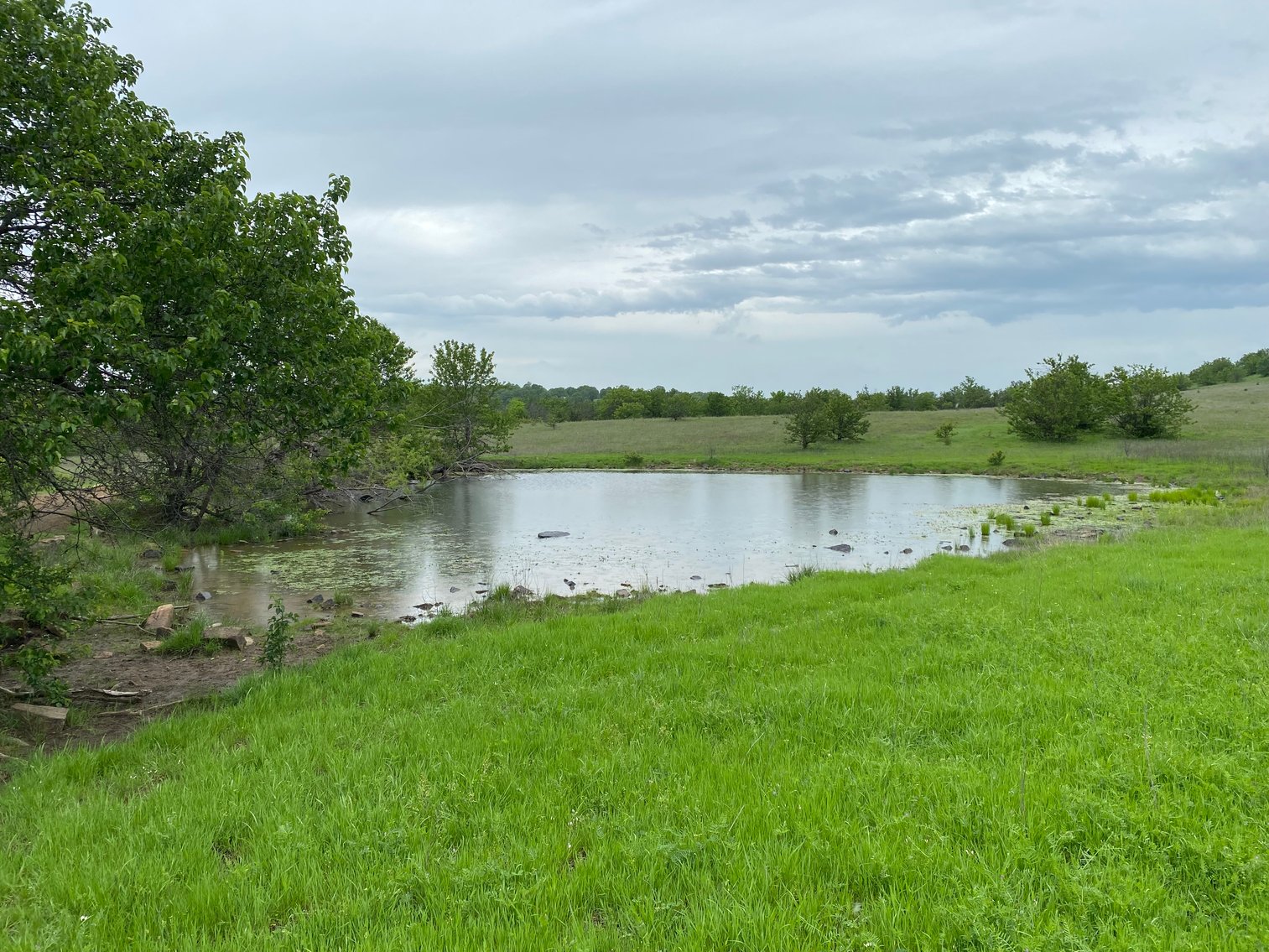 Image for Guardian/Personal Representative’s Real Estate Land Auction - Skiatook