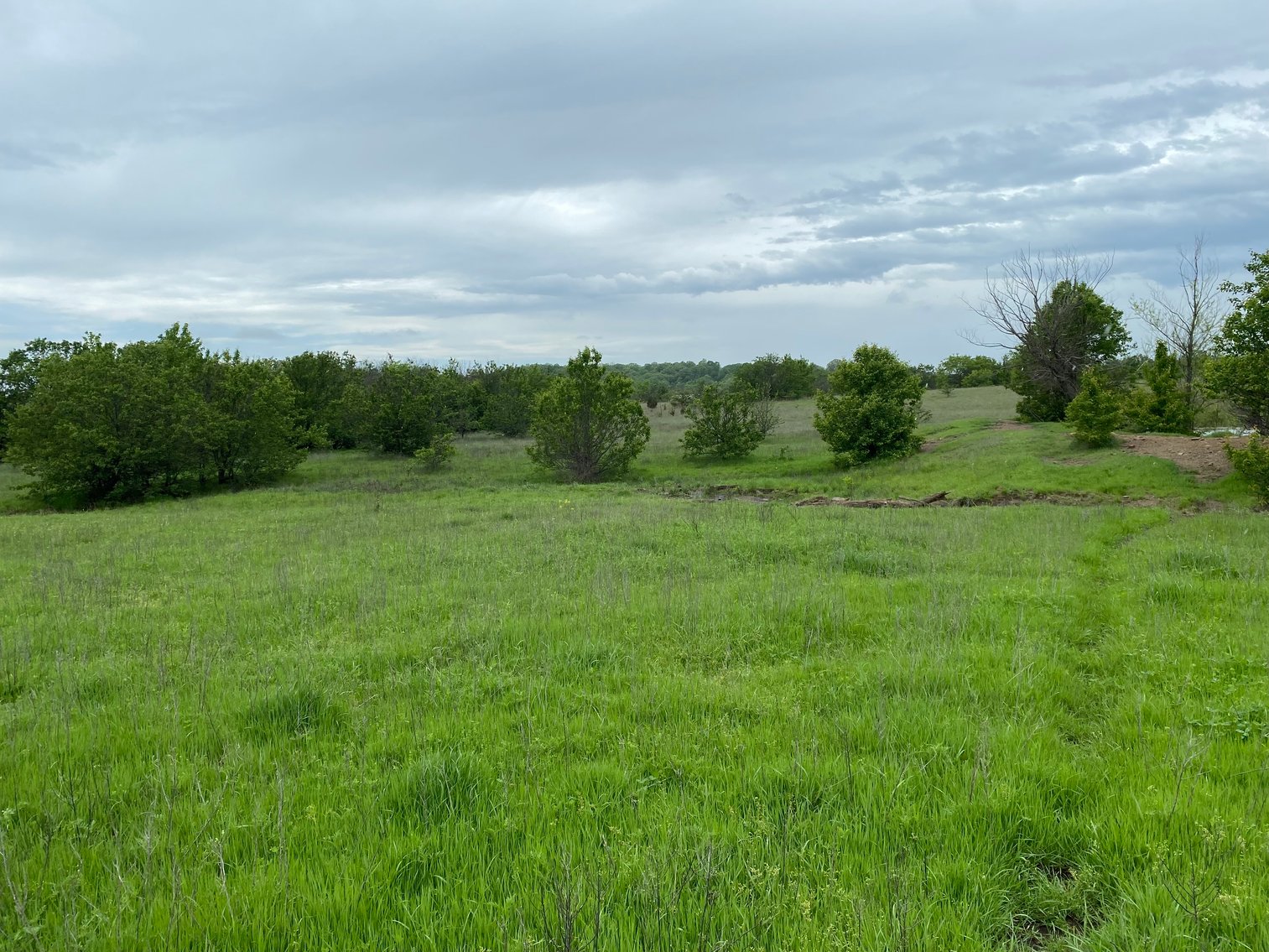Image for Guardian/Personal Representative’s Real Estate Land Auction - Skiatook