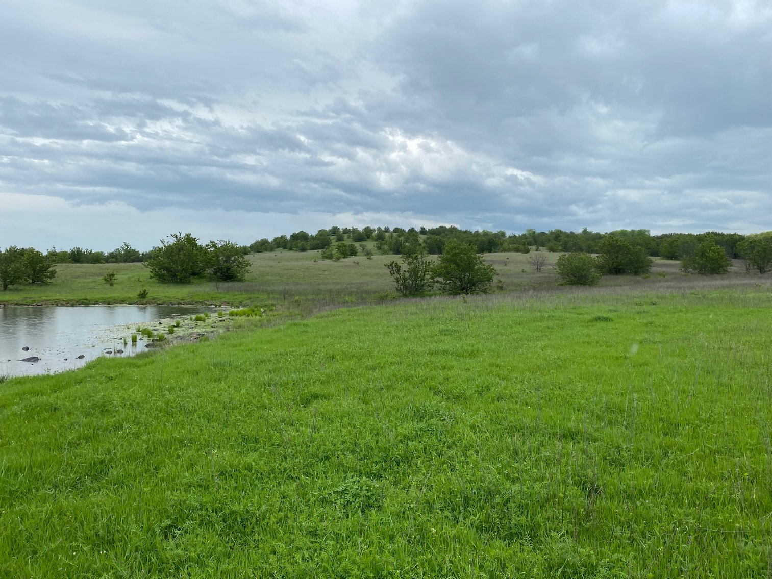 Image for Guardian/Personal Representative’s Real Estate Land Auction - Skiatook