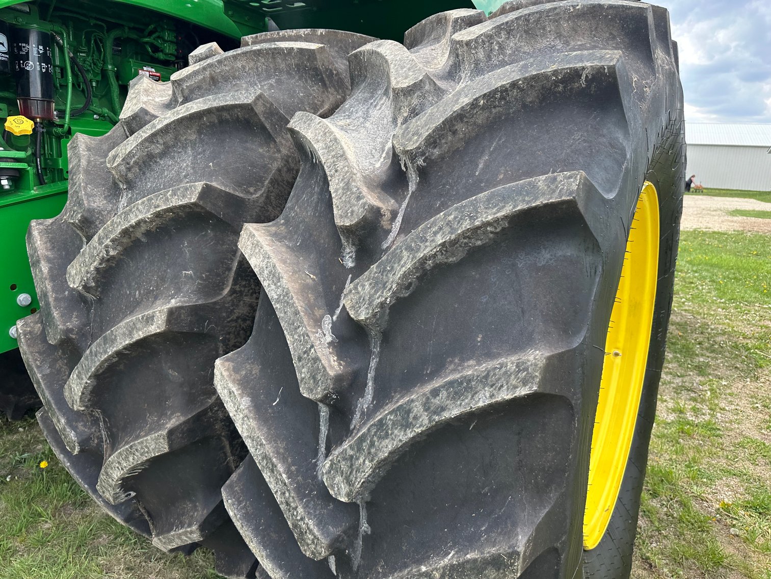 Image for The Harry and Lola Blackburn Farm Sale