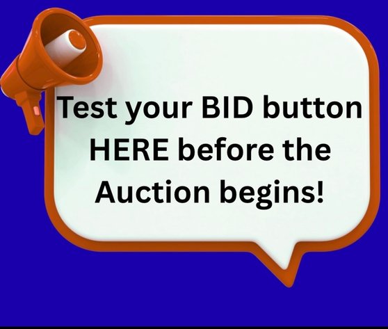 Image for June 26th Gun Auction
