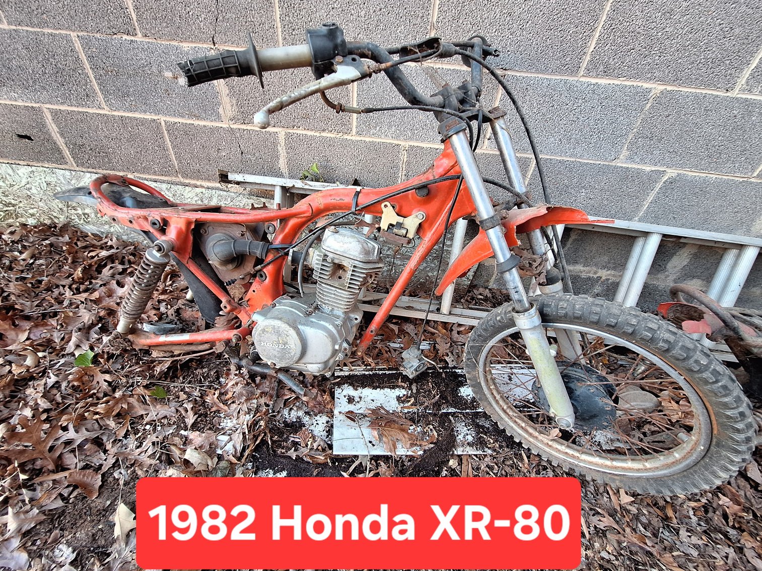 Image for PUBLIC ESTATE AUCTION (DECEASED/LIVING)