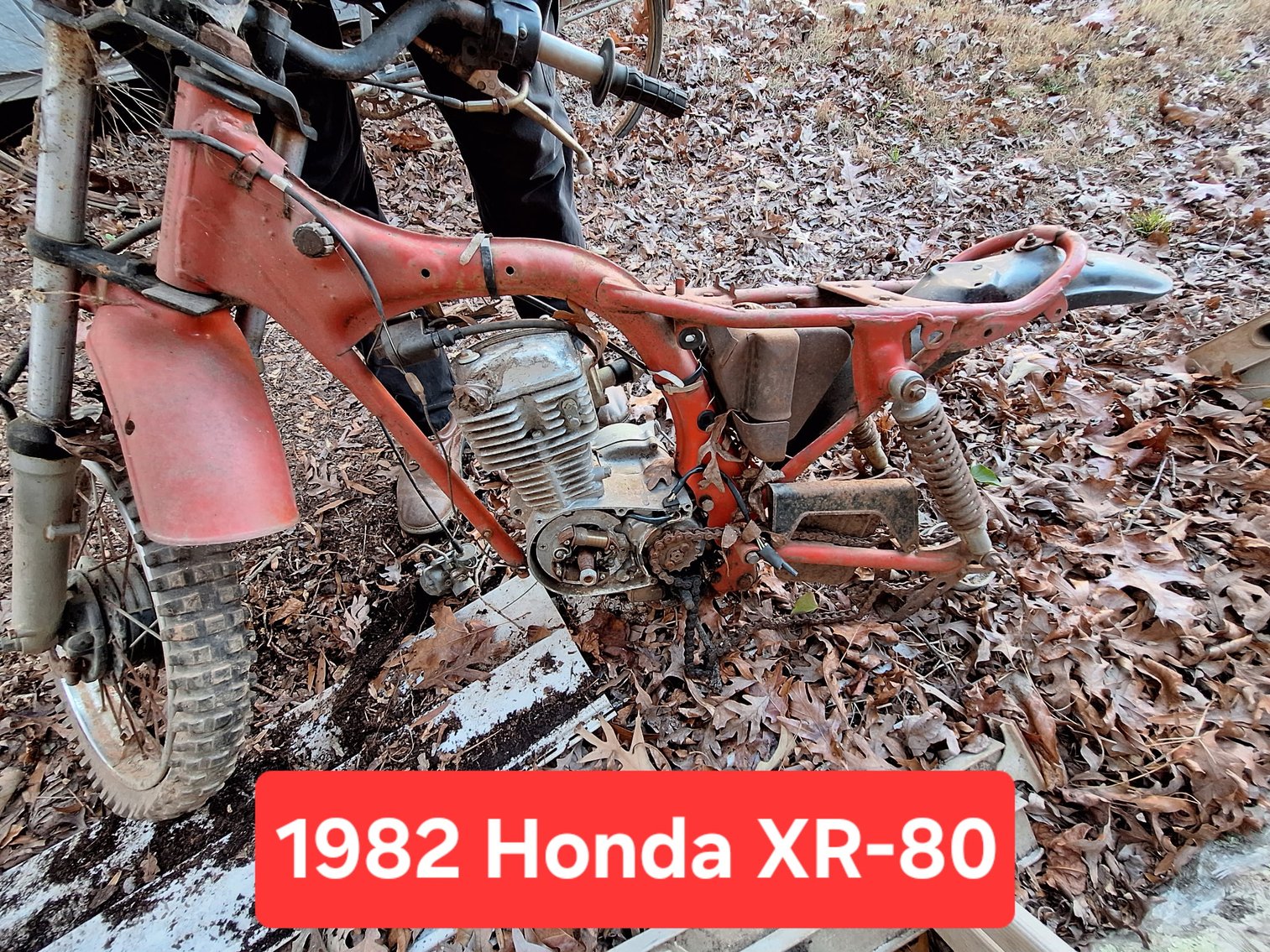 Image for PUBLIC ESTATE AUCTION (DECEASED/LIVING)