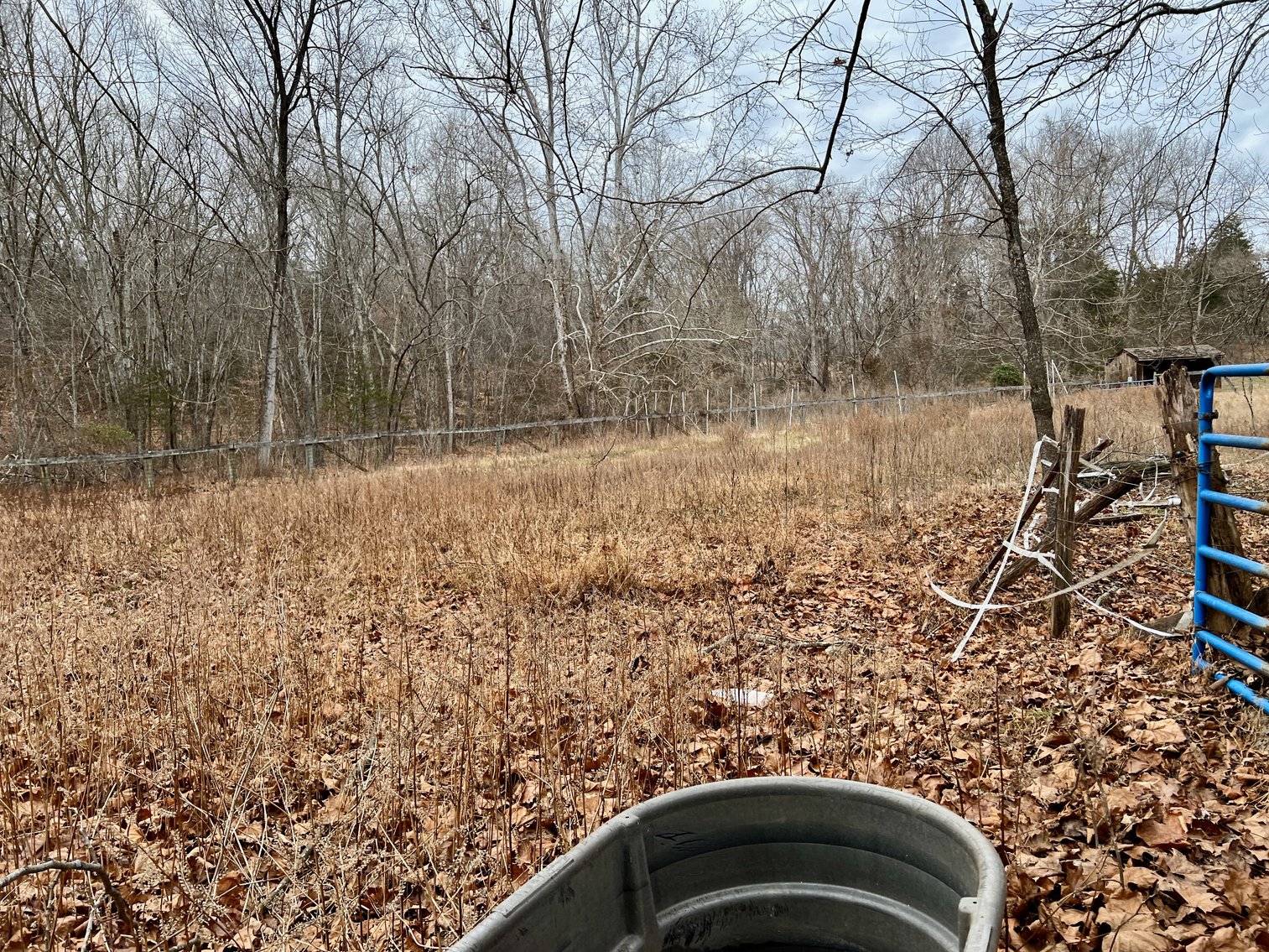 Image for 4 BR/2.5 BA Home w/Basement, Barn & Hazel River Frontage on 28.4 +/- Acres in Culpeper & Rappahannock County, VA--SELLING to the HIGHEST BIDDER via ONLINE ONLY BIDDING!!