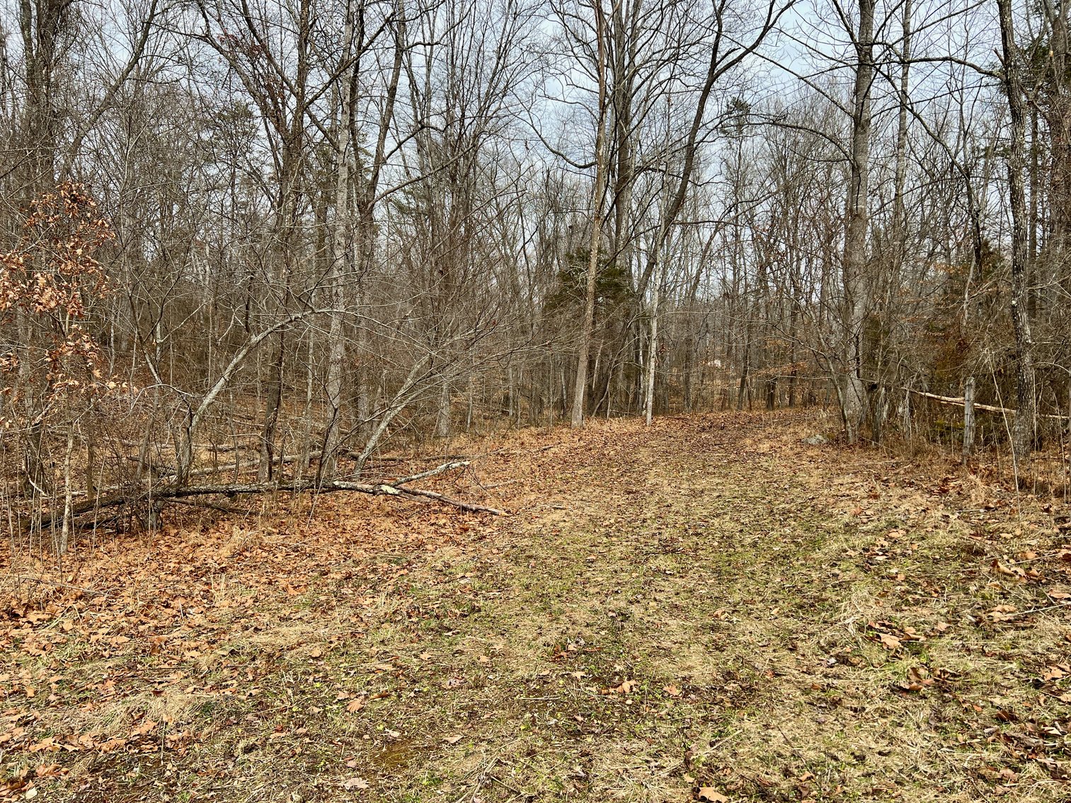 Image for 4 BR/2.5 BA Home w/Basement, Barn & Hazel River Frontage on 28.4 +/- Acres in Culpeper & Rappahannock County, VA--SELLING to the HIGHEST BIDDER via ONLINE ONLY BIDDING!!