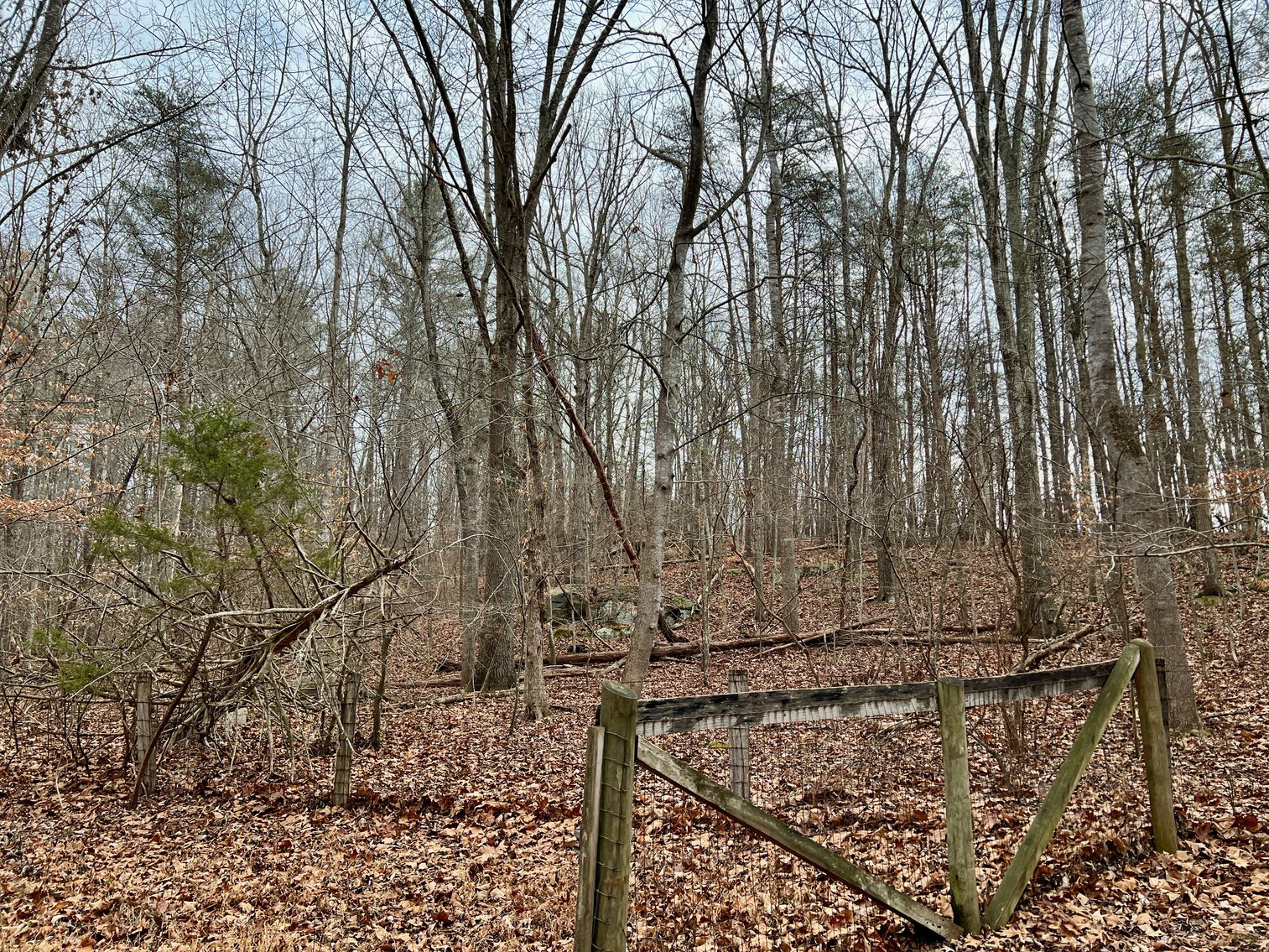 Image for 4 BR/2.5 BA Home w/Basement, Barn & Hazel River Frontage on 28.4 +/- Acres in Culpeper & Rappahannock County, VA--SELLING to the HIGHEST BIDDER via ONLINE ONLY BIDDING!!