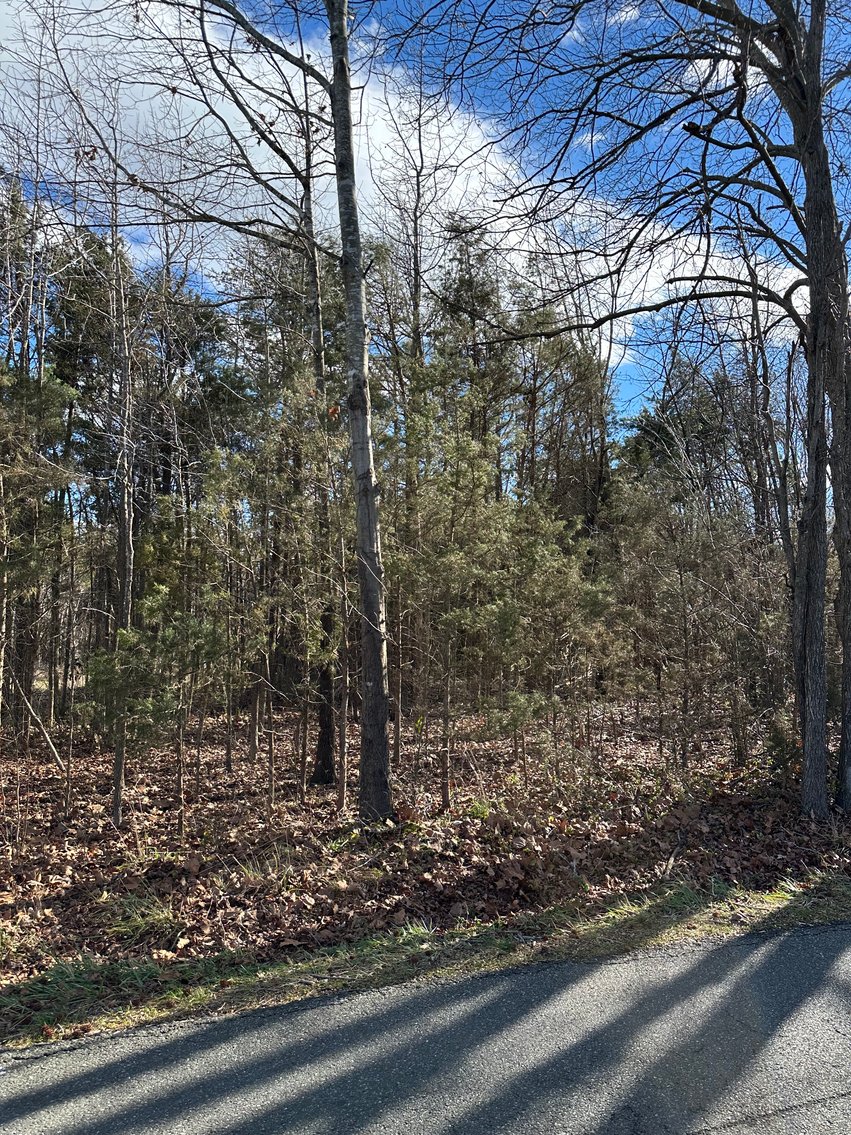 Image for 1 +/- Acre Spotsylvania County Lot Close to Retail, Schools, Rt. 3 & I-95--SELLING to the HIGHEST BIDDER via ONLINE BIDDING!!