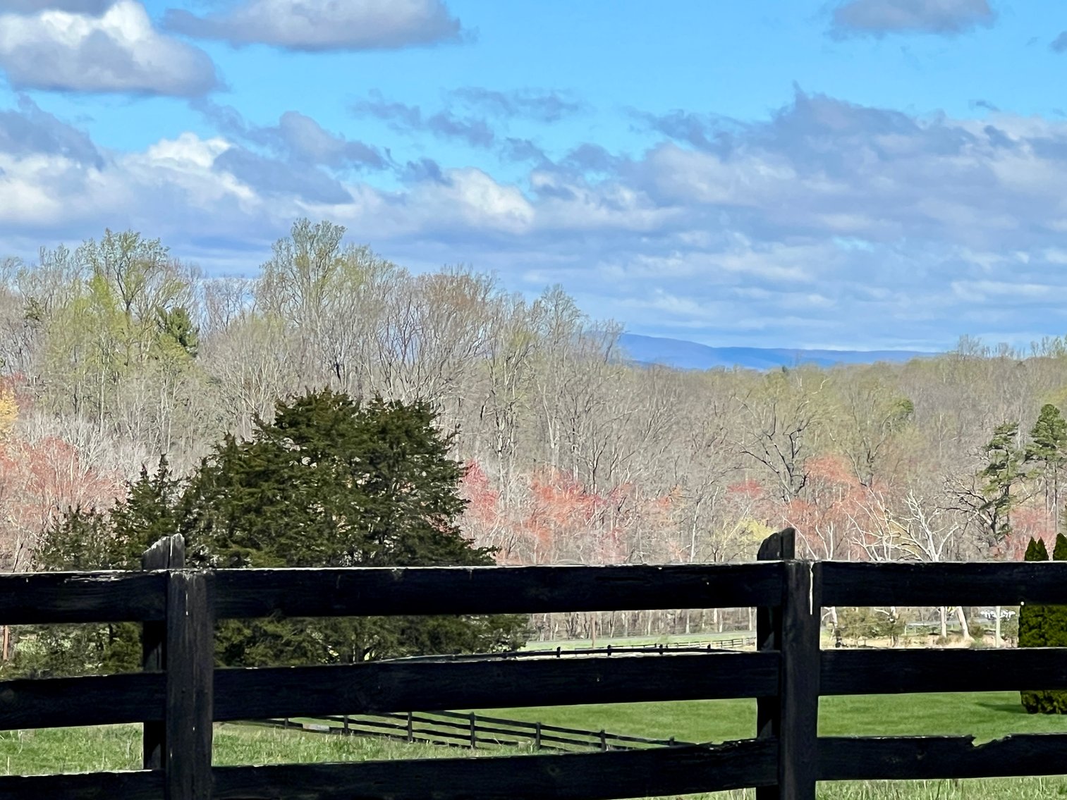 Image for 6.5 +/- Acre Parcel w/360' +/- of Road Frontage & Mountain Views in Culpeper County, VA--SELLING to the HIGHEST BIDDER!!