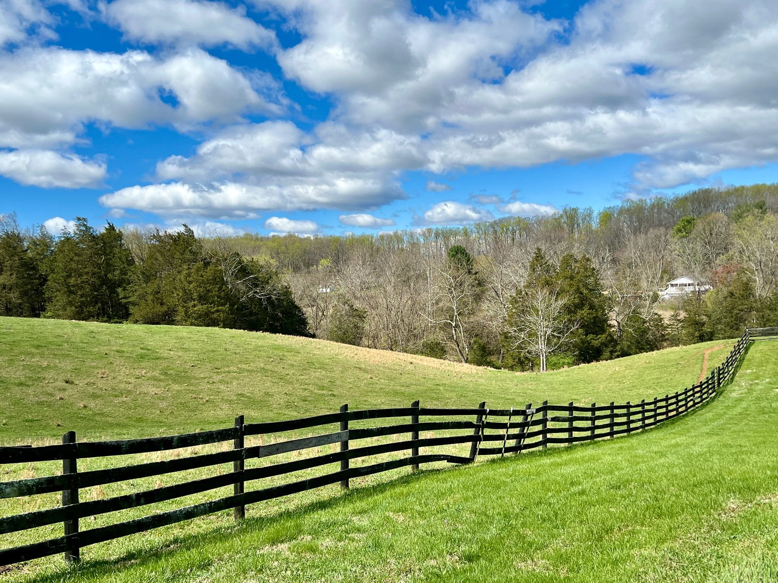 Image for 6.5 +/- Acre Parcel w/360' +/- of Road Frontage & Mountain Views in Culpeper County, VA--SELLING to the HIGHEST BIDDER!!
