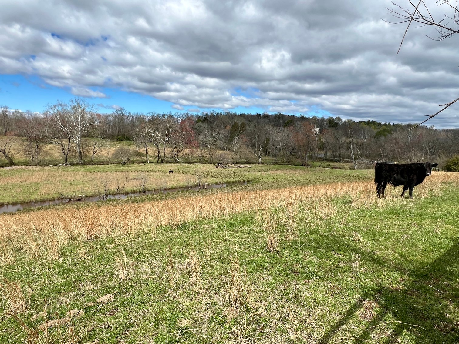 Image for 10 +/- Acre Parcel w/1,500' +/- of Road Frontage & Mountain Views in Culpeper County, VA--SELLING to the HIGHEST BIDDER!!