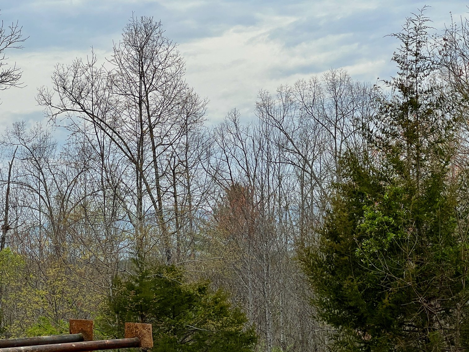 Image for 10.43 +/- Aces w/Large Barn & Well in Greene County, VA--SELLING to the HIGHEST BIDDER via ONLINE ONLY BIDDING!!