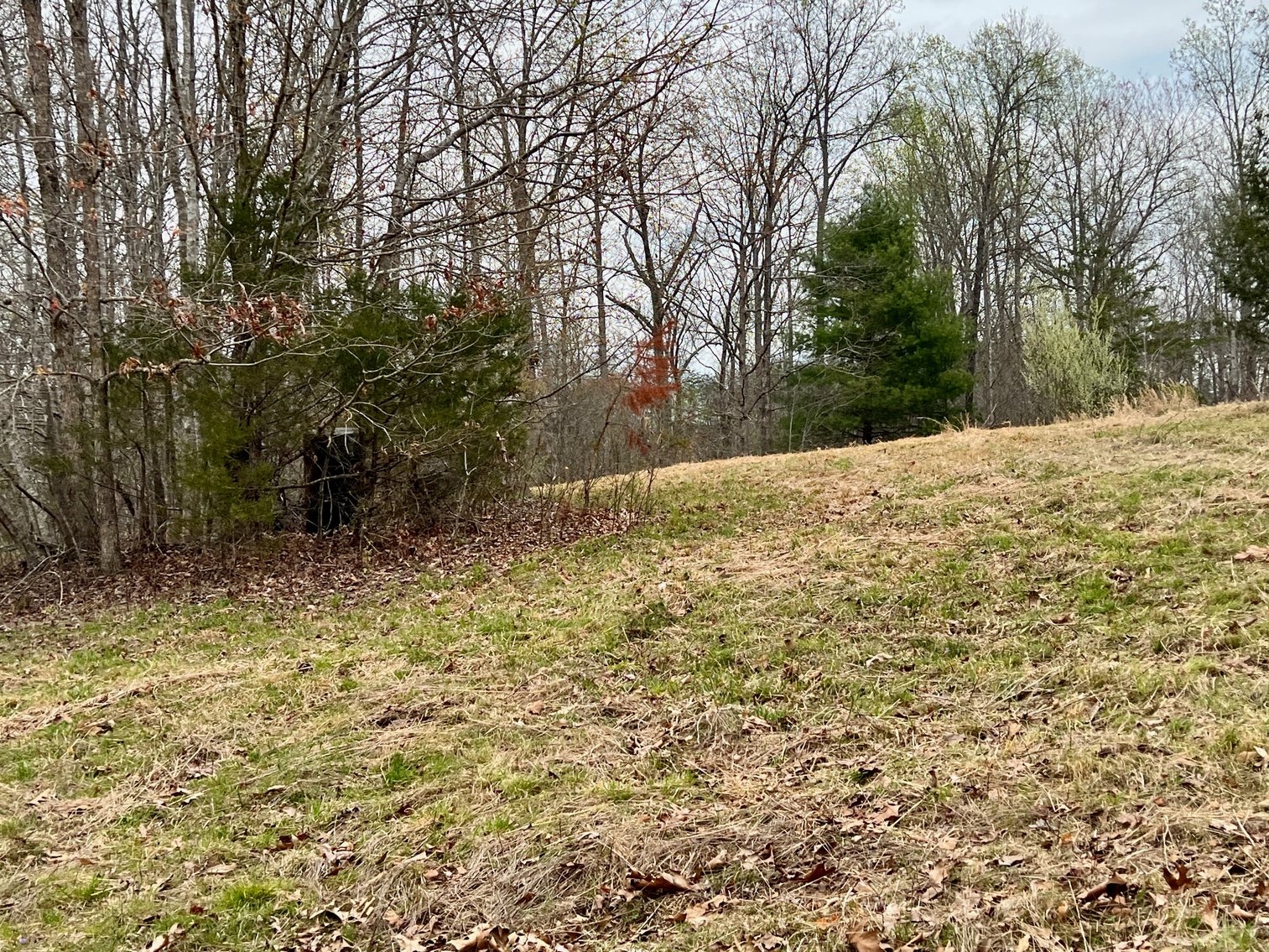 Image for 10.43 +/- Aces w/Large Barn & Well in Greene County, VA--SELLING to the HIGHEST BIDDER via ONLINE ONLY BIDDING!!