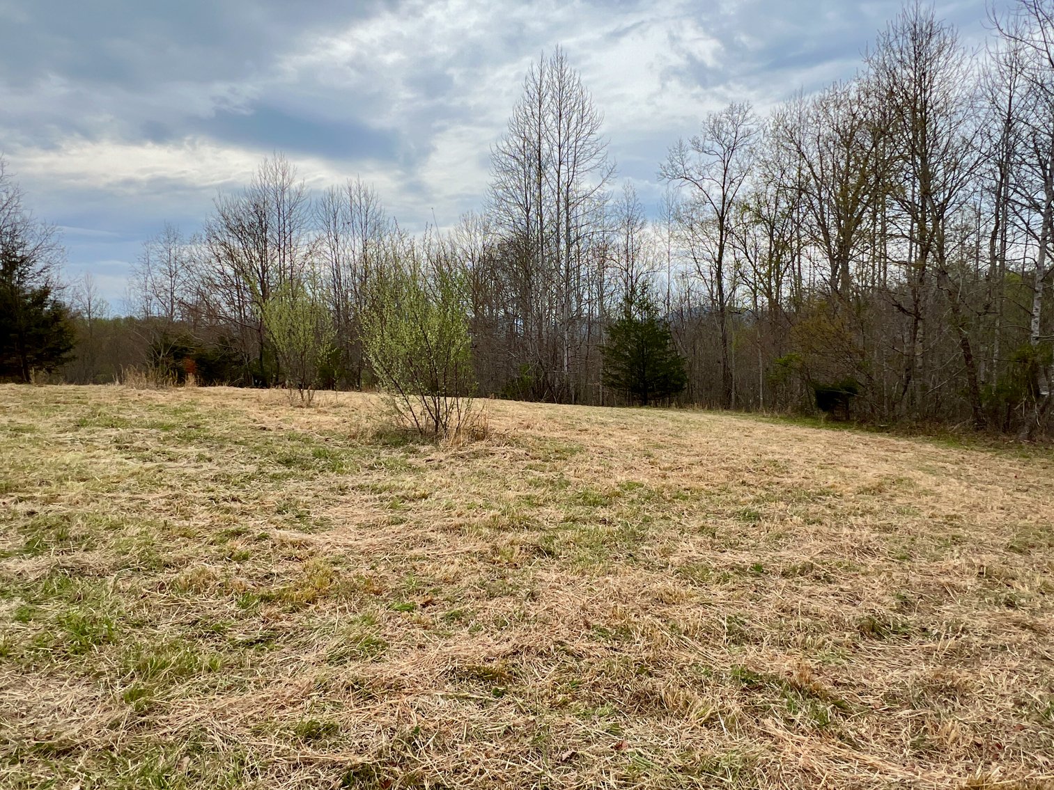 Image for 10.43 +/- Aces w/Large Barn & Well in Greene County, VA--SELLING to the HIGHEST BIDDER via ONLINE ONLY BIDDING!!