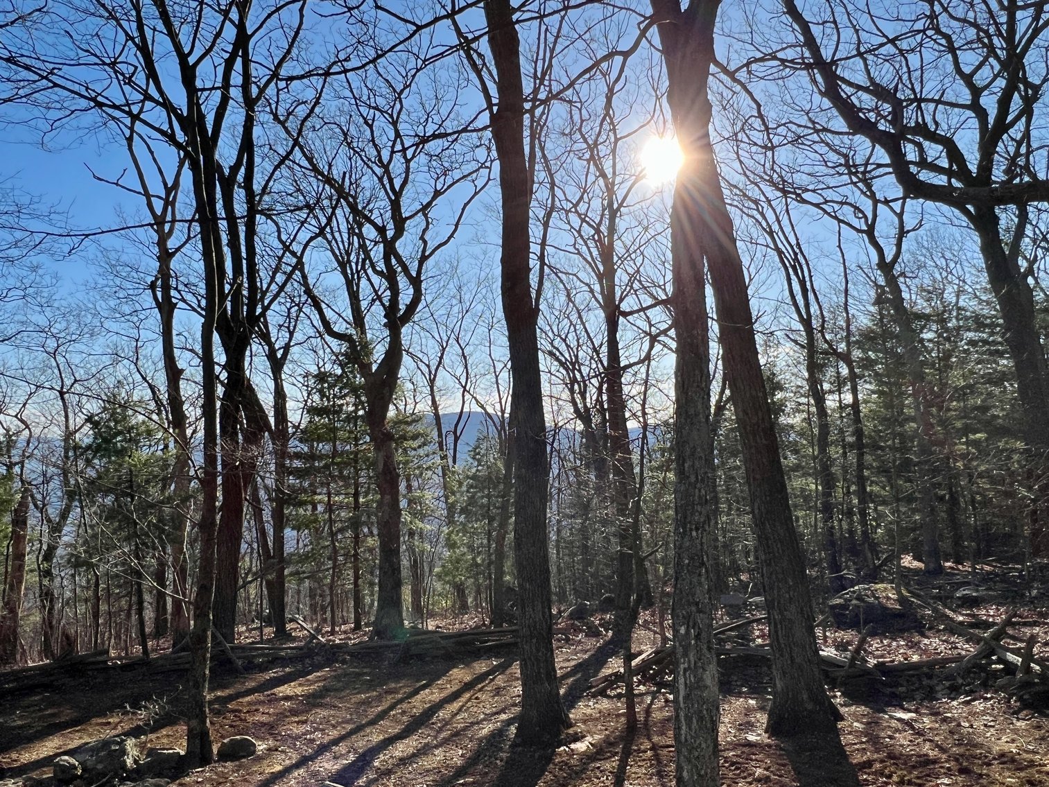 Image for 4 BR/1.5 BA Period Correct Relocated 1850's Log Cabin on 10 +/- Acres w/Amazing Mountain Views in Greene County, VA--ONLINE ONLY BIDDING!!