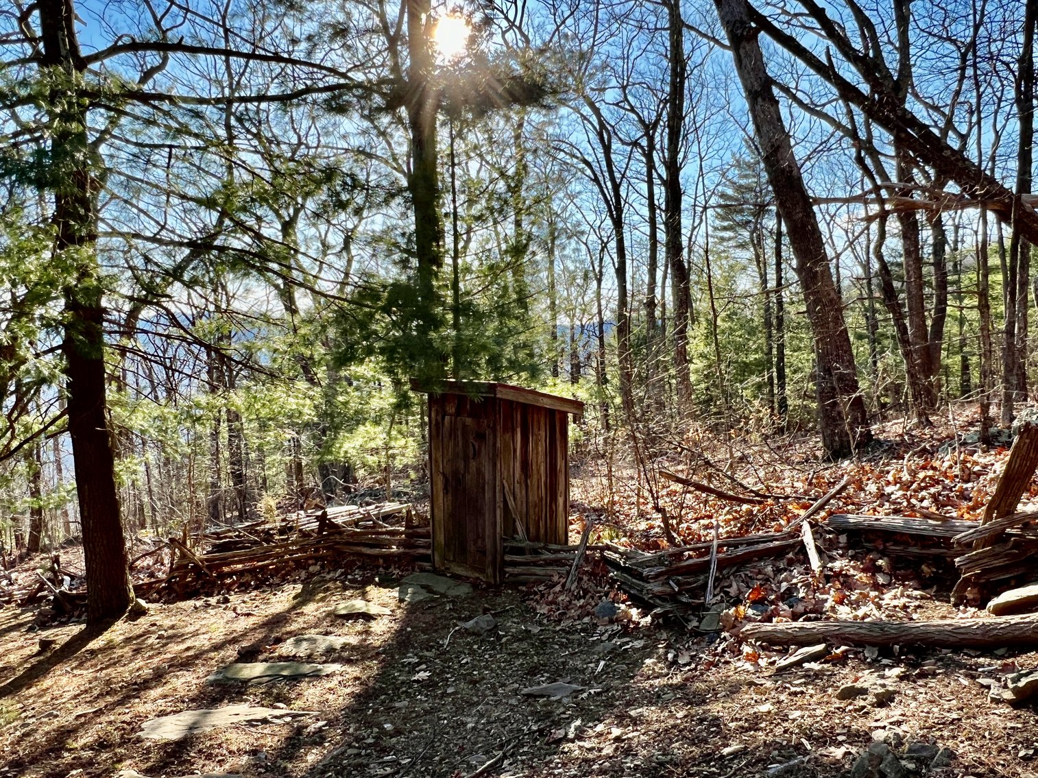 Image for 4 BR/1.5 BA Period Correct Relocated 1850's Log Cabin on 10 +/- Acres w/Amazing Mountain Views in Greene County, VA--ONLINE ONLY BIDDING!!