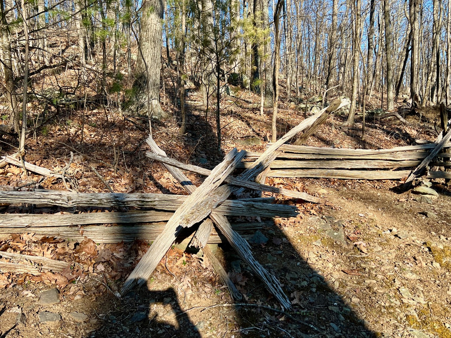 Image for 4 BR/1.5 BA Period Correct Relocated 1850's Log Cabin on 10 +/- Acres w/Amazing Mountain Views in Greene County, VA--ONLINE ONLY BIDDING!!