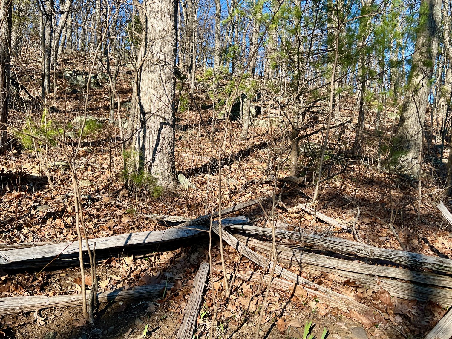 Image for 4 BR/1.5 BA Period Correct Relocated 1850's Log Cabin on 10 +/- Acres w/Amazing Mountain Views in Greene County, VA--ONLINE ONLY BIDDING!!