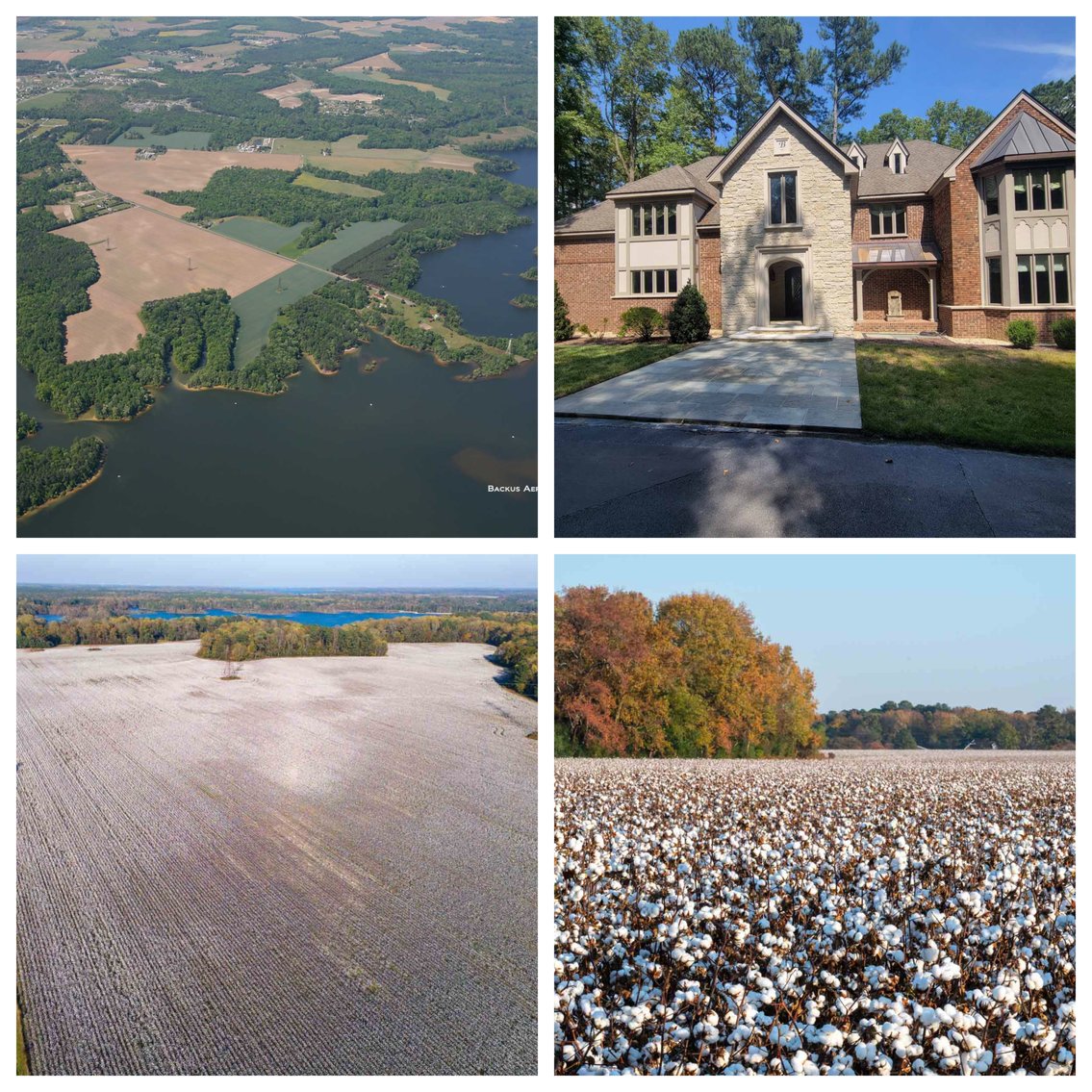 Image for Scott Shuman