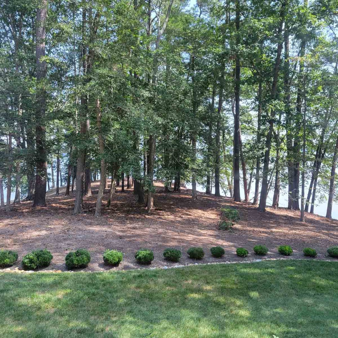 Image for Scott Shuman