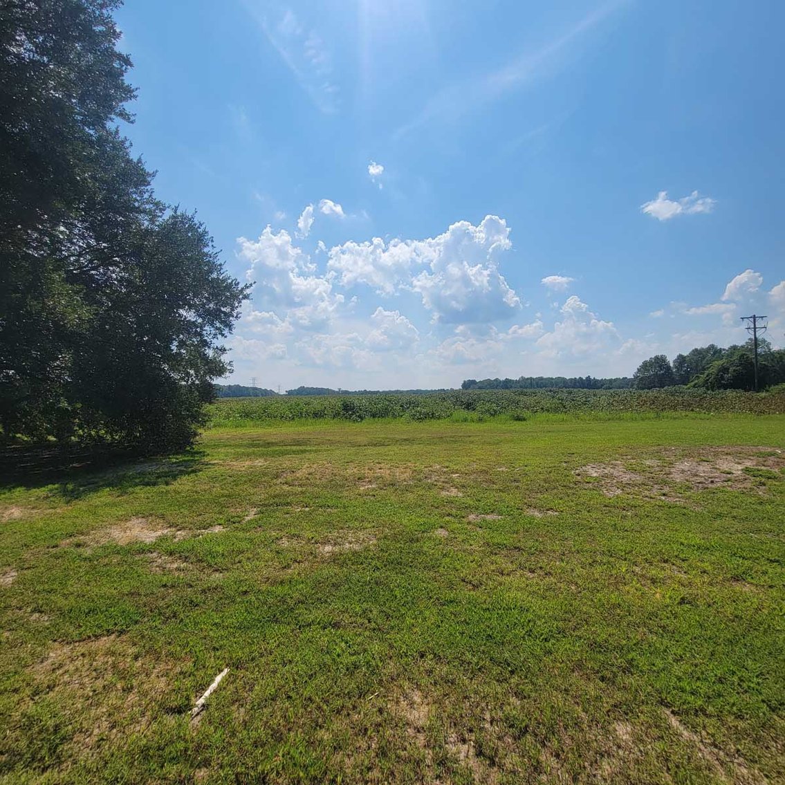 Image for Scott Shuman