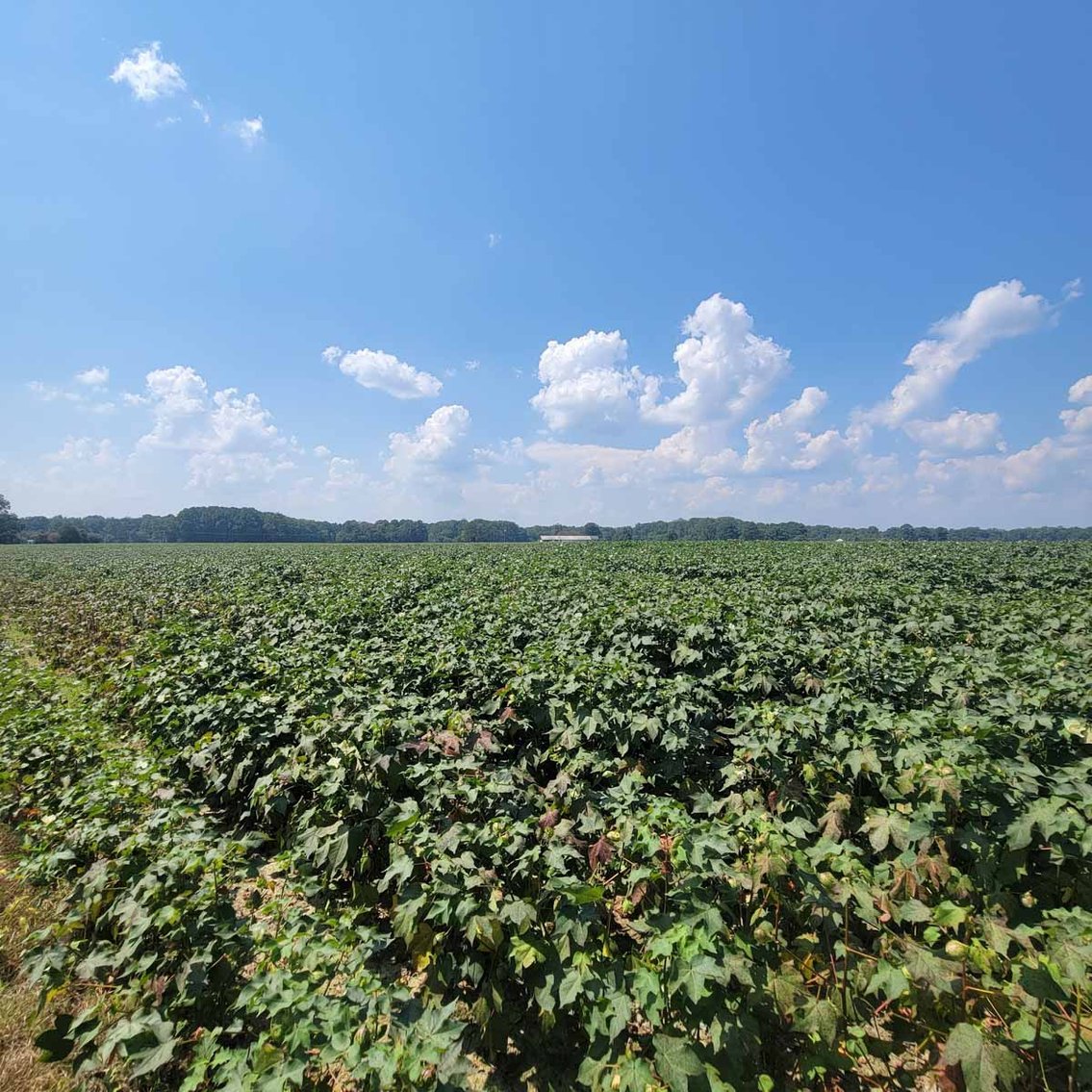 Image for Scott Shuman