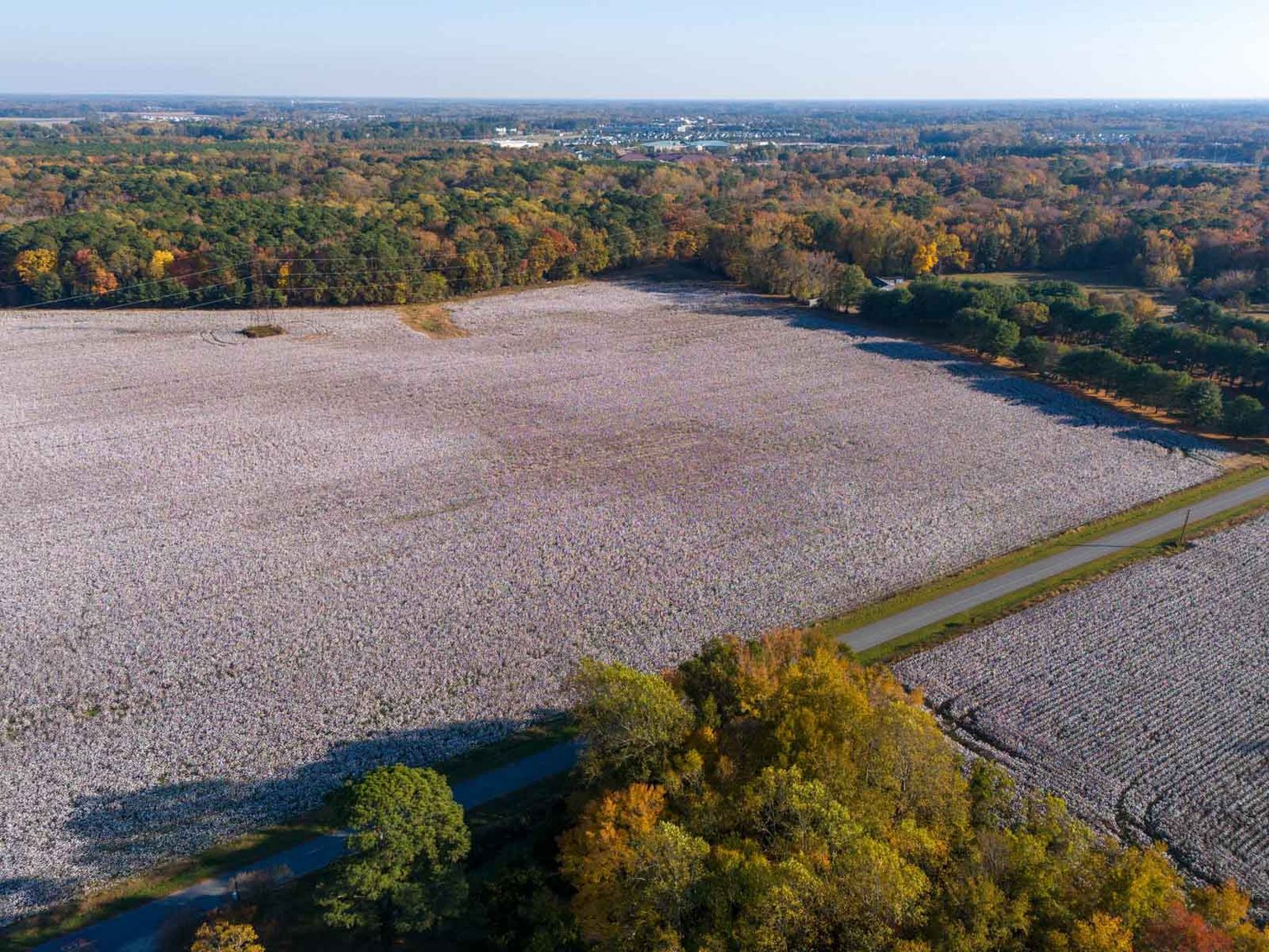 Image for Scott Shuman