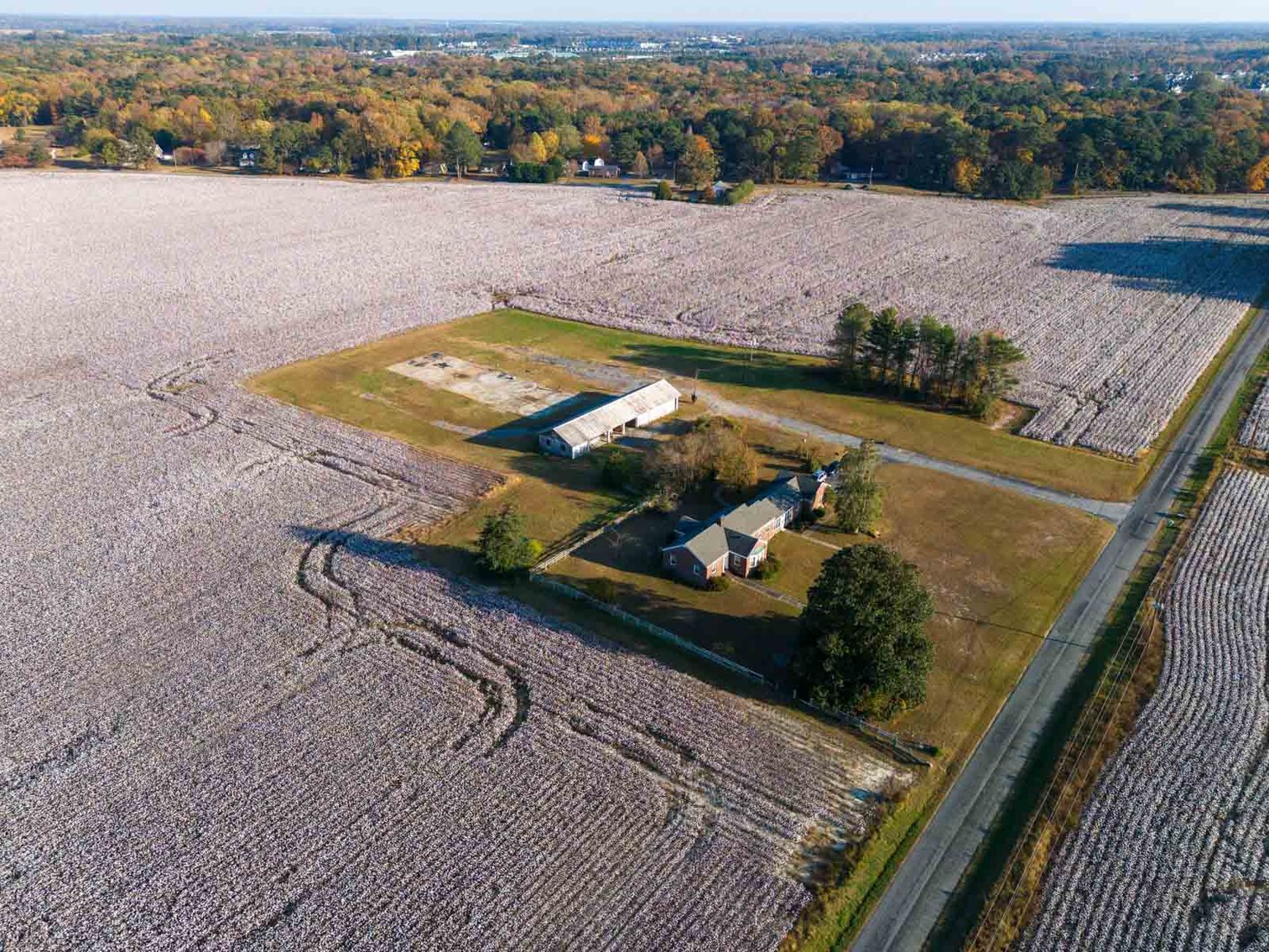 Image for Scott Shuman