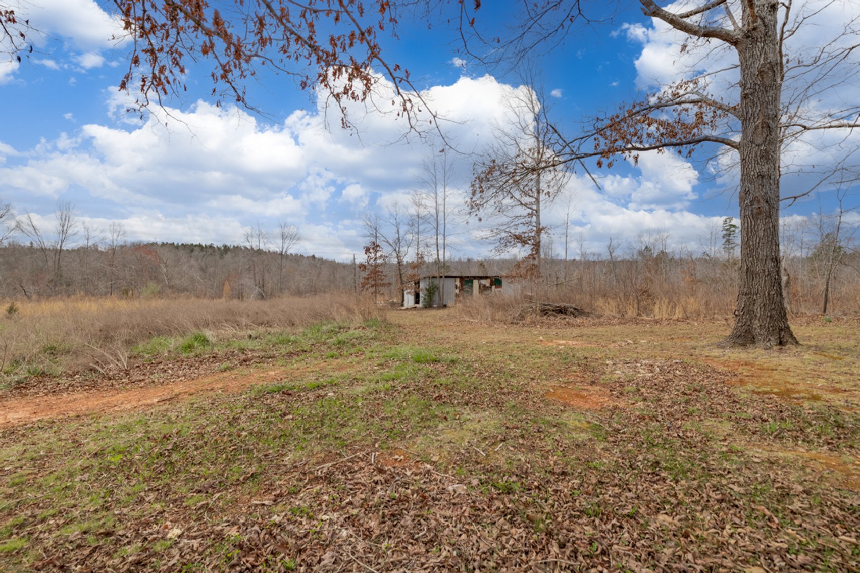 Image for 3 BR/1.5 BA Home & Mobile Home on 12.03 +/- Acres in Lunenburg County, VA--ONLINE ONLY BIDDING!!
