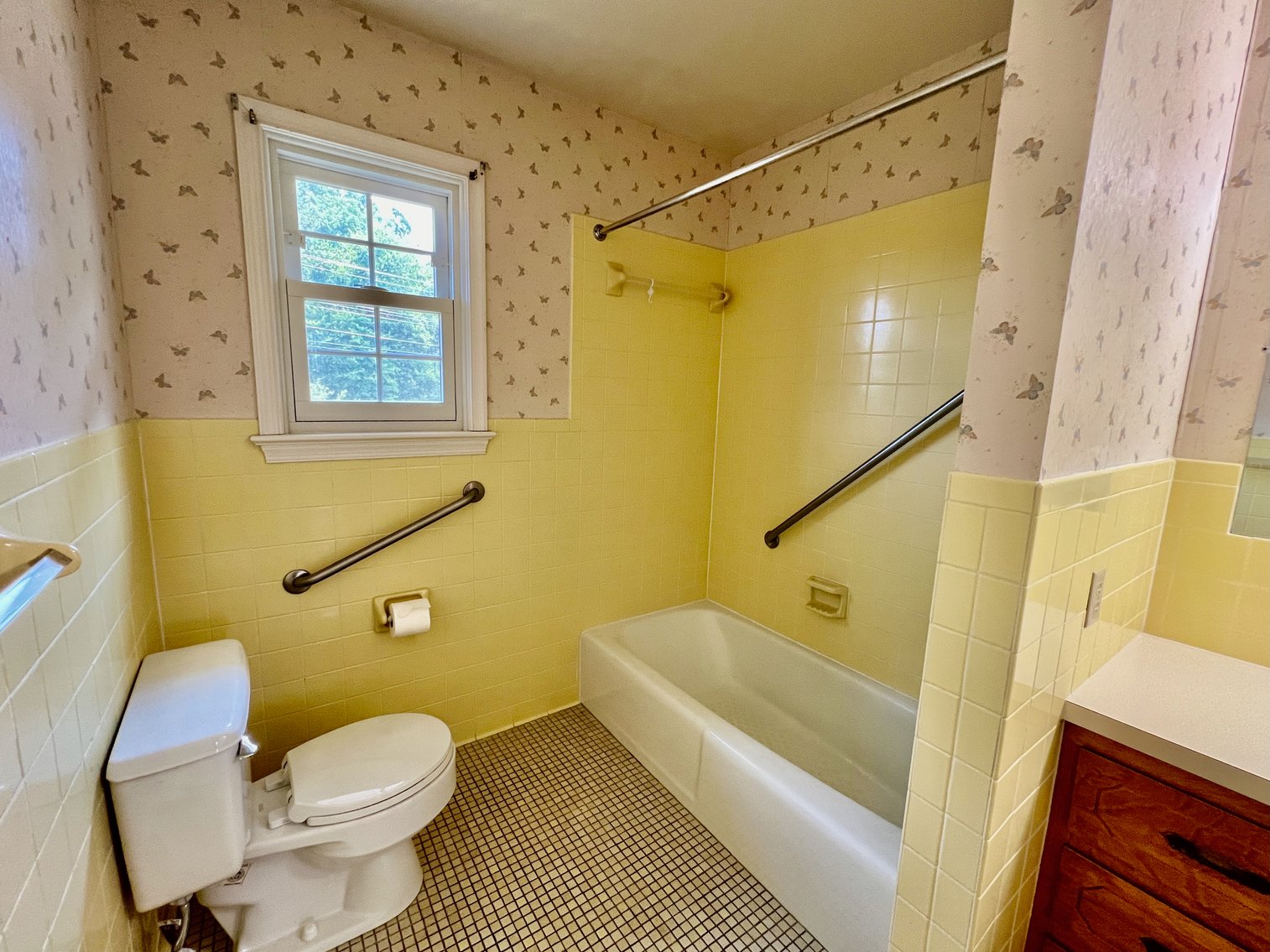 Image for 3 BR/2 BA Brick Home w/Walk-Out Basement on 5 +/- Acres in Madison County, VA--SELLING to the HIGHEST BIDDER!!