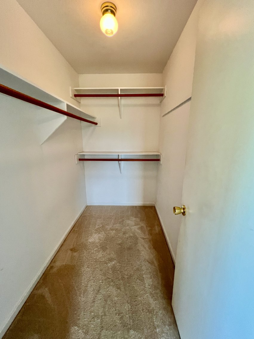 Image for 3 BR/2 BA Brick Home w/Walk-Out Basement on 5 +/- Acres in Madison County, VA--SELLING to the HIGHEST BIDDER!!