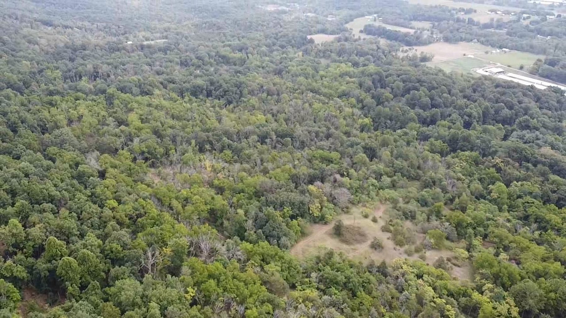 Image for 81 +/- Acre Land Parcel w/Spring House, Access Roads & Tons of Wildlife--Rockingham County, VA