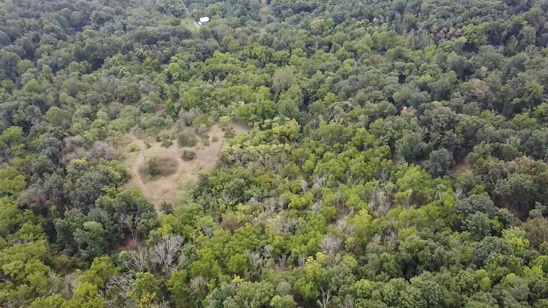 Image for 81 +/- Acre Land Parcel w/Spring House, Access Roads & Tons of Wildlife--Rockingham County, VA