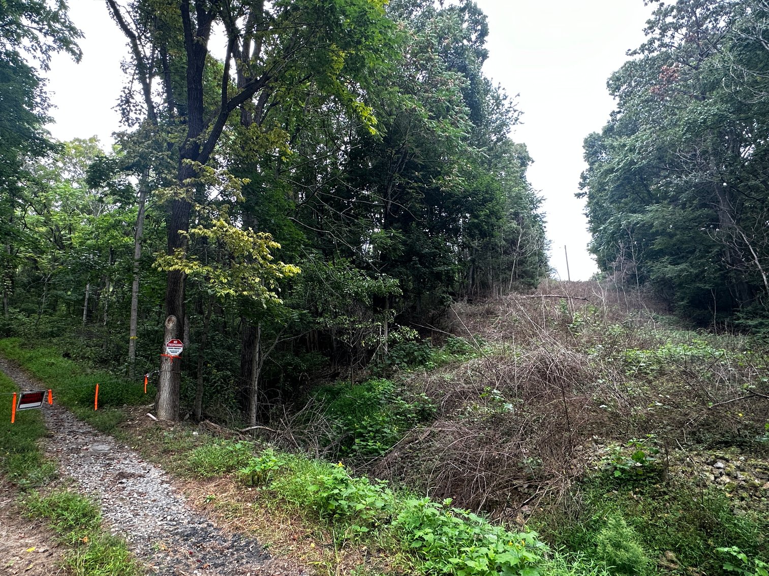 Image for 81 +/- Acre Land Parcel w/Spring House, Access Roads & Tons of Wildlife--Rockingham County, VA