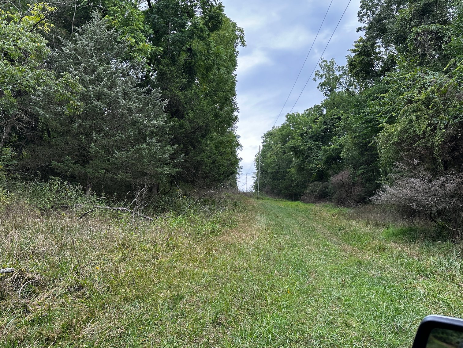 Image for 81 +/- Acre Land Parcel w/Spring House, Access Roads & Tons of Wildlife--Rockingham County, VA