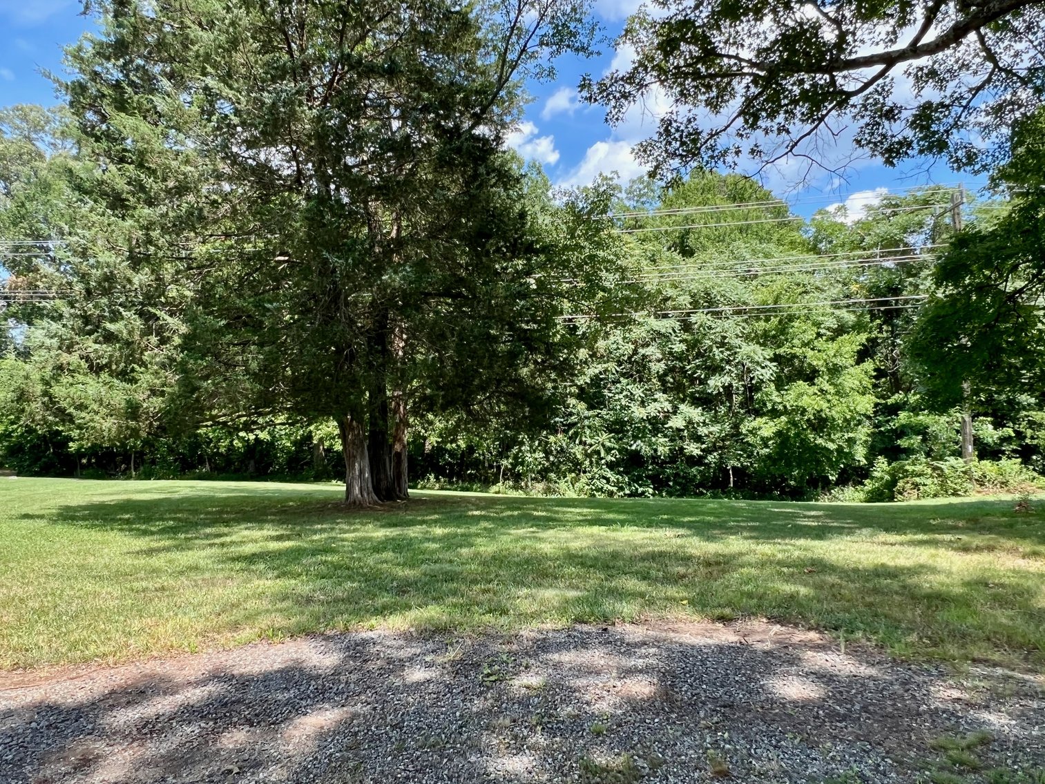 Image for 3 BR/2 BA Brick Home w/Walk-Out Basement on 5 +/- Acres in Madison County, VA--SELLING to the HIGHEST BIDDER!!