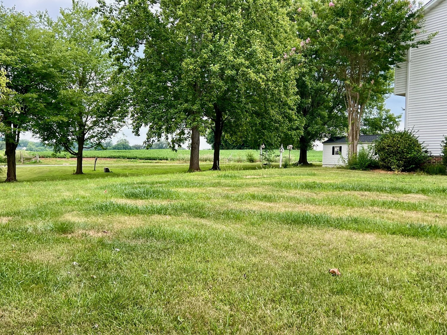 Image for 3 BR/2.5 BA Home w/Recent Upgrades on Large 1.34 +/- Acre Lot in Culpeper, VA--SELLING to the HIGHEST BIDDER!!