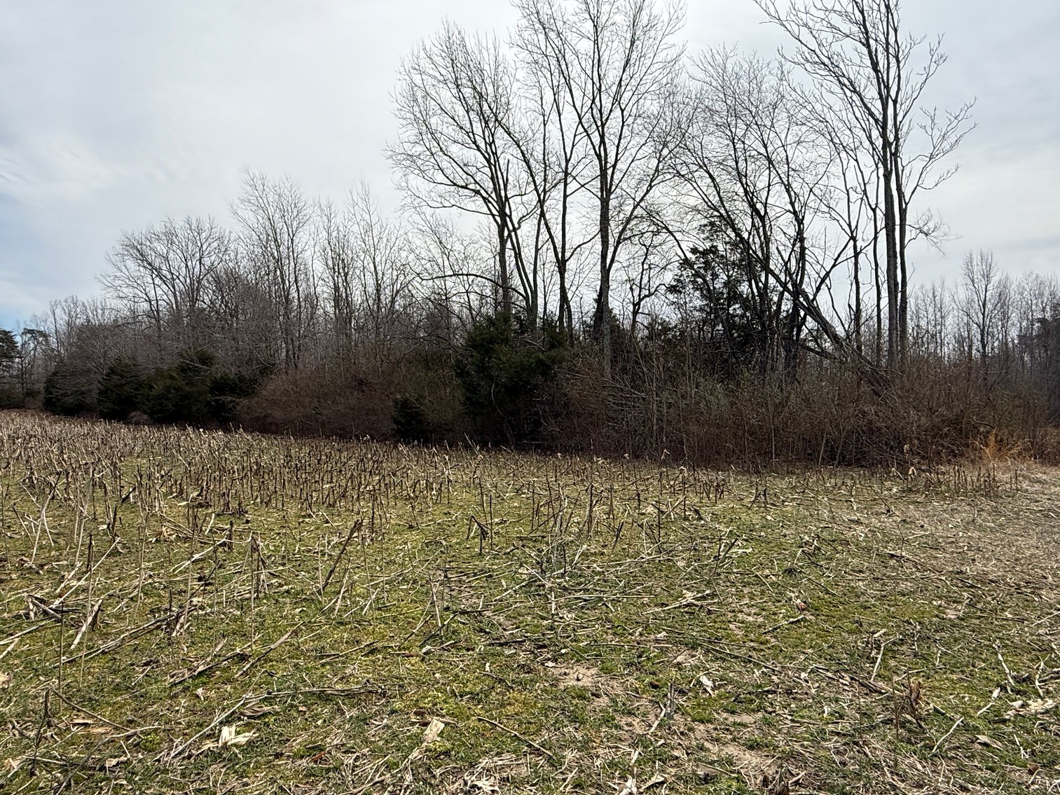 Image for 15.12 +/- Acre Estate Building Lot in Spotsylvania County, VA-- SELLING to the HIGHEST BIDDER via ONLINE ONLY BIDDING!!