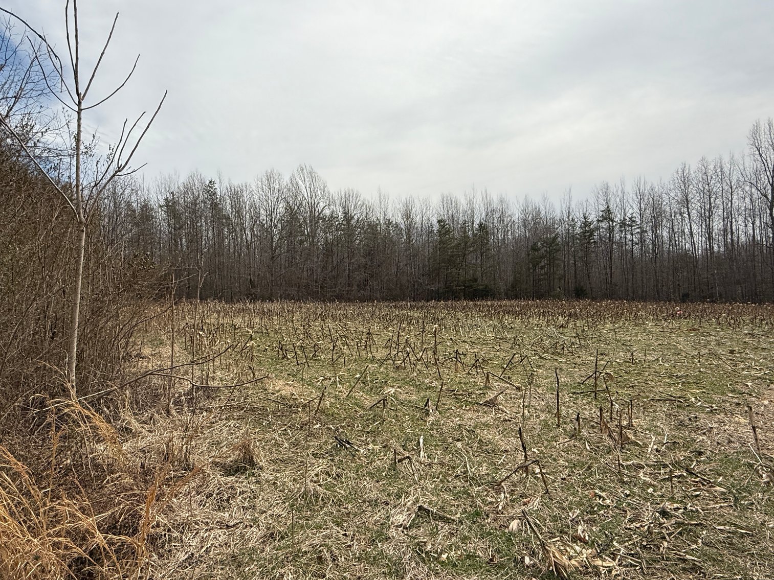 Image for 15.12 +/- Acre Estate Building Lot in Spotsylvania County, VA-- SELLING to the HIGHEST BIDDER via ONLINE ONLY BIDDING!!