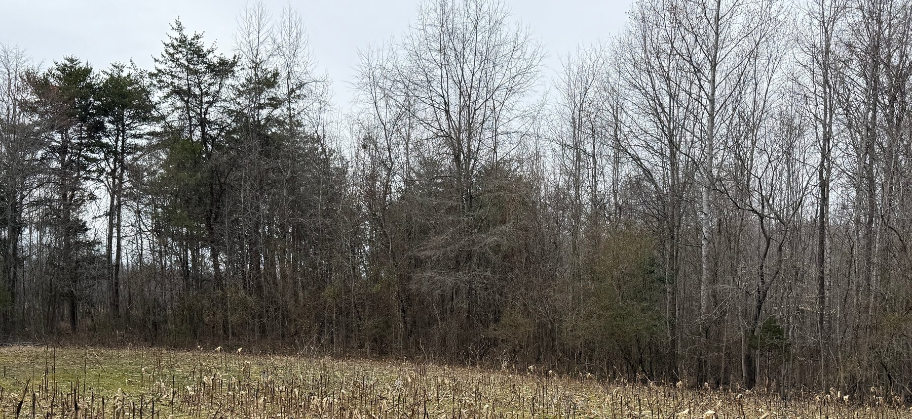 Image for 45.19 +/- Acre Estate Building Lot in Spotsylvania County, VA-- SELLING to the HIGHEST BIDDER via ONLINE ONLY BIDDING!!