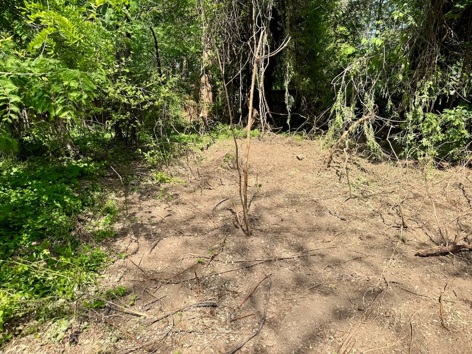 Image for 3 BR/1 BA Home & 3 BR/2 BA Home on .70 +/- Acre North King St. Double Lot in Historic Downtown Leesburg, VA--SELLING to the HIGHEST BIDDER!!