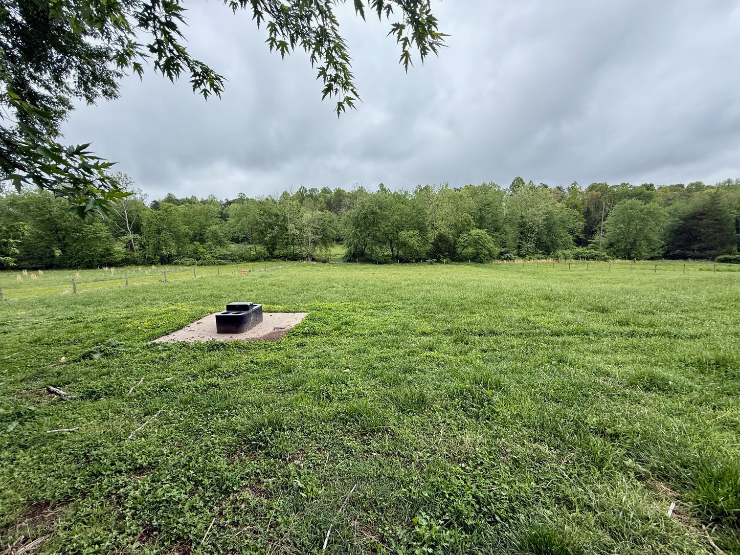 Image for 3 BR/2 BA Home w/Barns & Shop on 5.5 +/- Acres in Orange County, VA--SELLING to the HIGHEST BIDDER!!