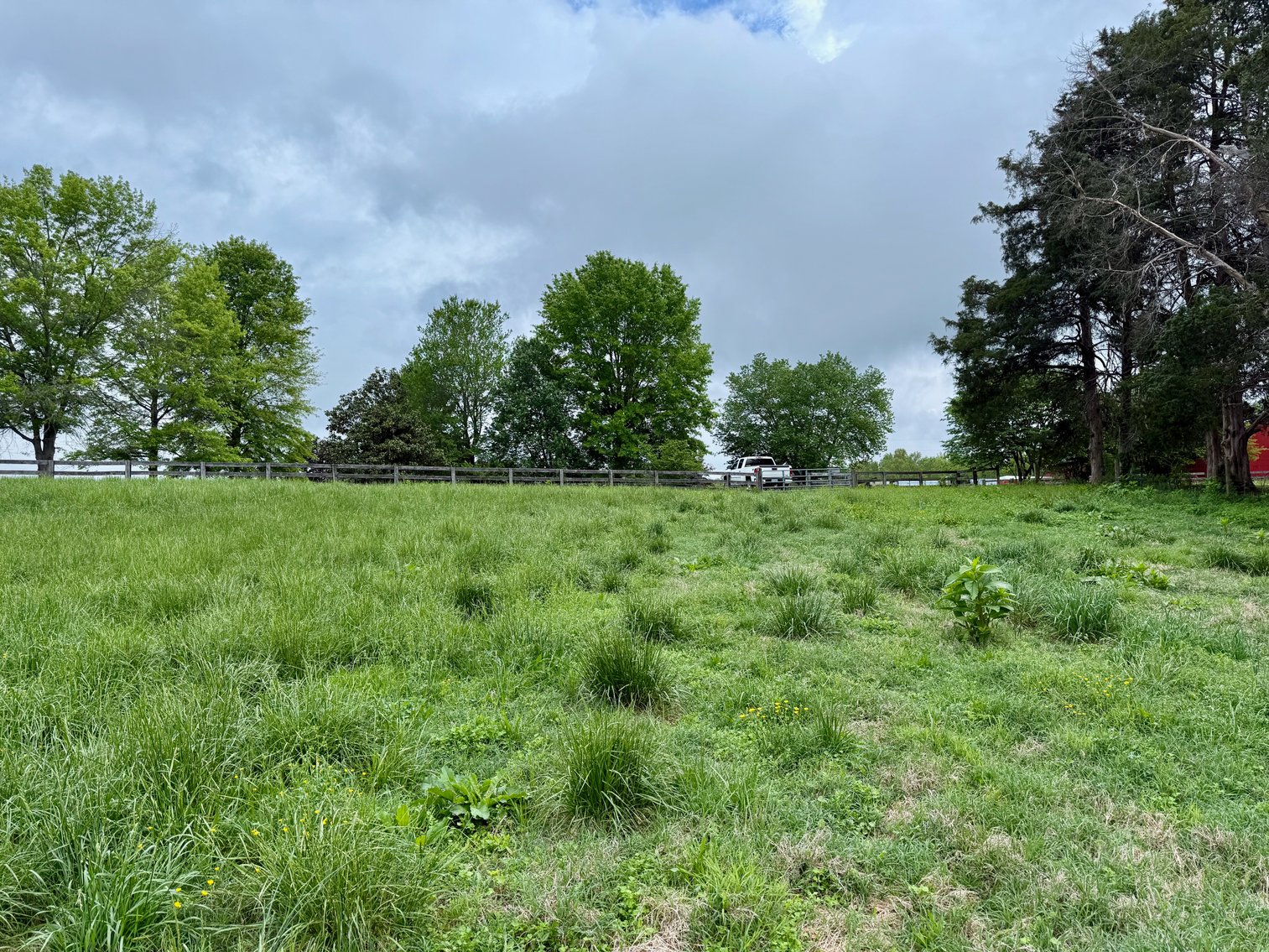 Image for 6.32 +/- Acre Land Parcel w/Road Frontage & Partial Fencing in Orange County, VA--SELLING to the HIGHEST BIDDER!!