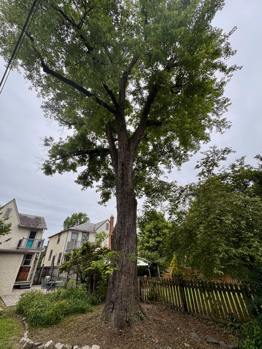 Image for 3 BR/1 BA Home w/Spacious Fenced Back Yard in the Bellevue Neighborhood of Downtown Richmond, VA--ONLINE ONLY BIDDING!!