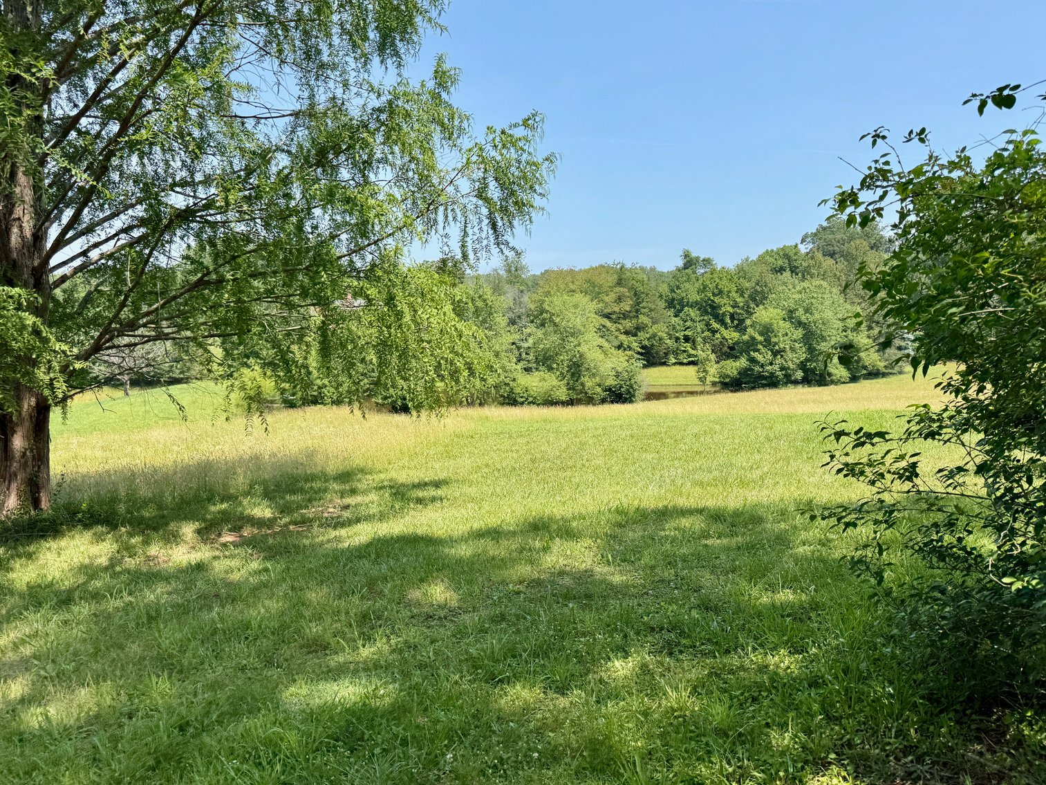 Image for 3 BR/3.5 BA Home w/Barn, Shop Building & Large Pond on 17.88 +/- Acres in Madison County, VA--SELLING to the HIGHEST BIDDER!!