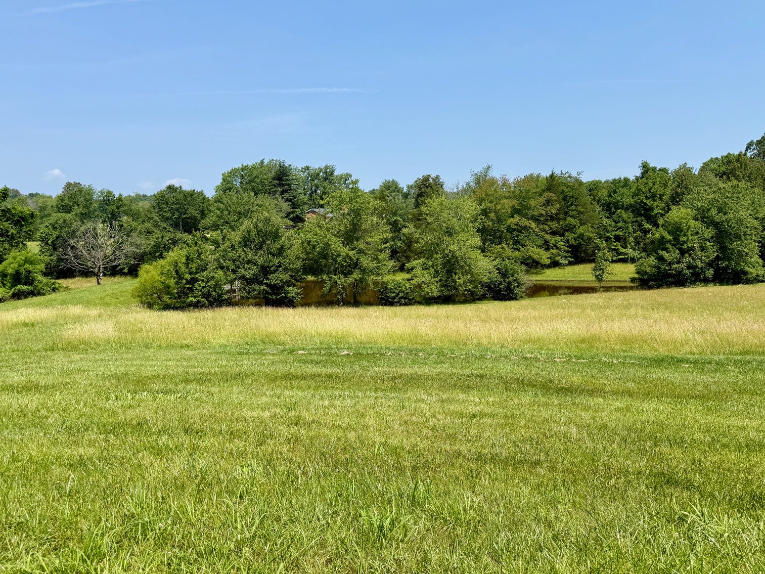 Image for 3 BR/3.5 BA Home w/Barn, Shop Building & Large Pond on 17.88 +/- Acres in Madison County, VA--SELLING to the HIGHEST BIDDER!!