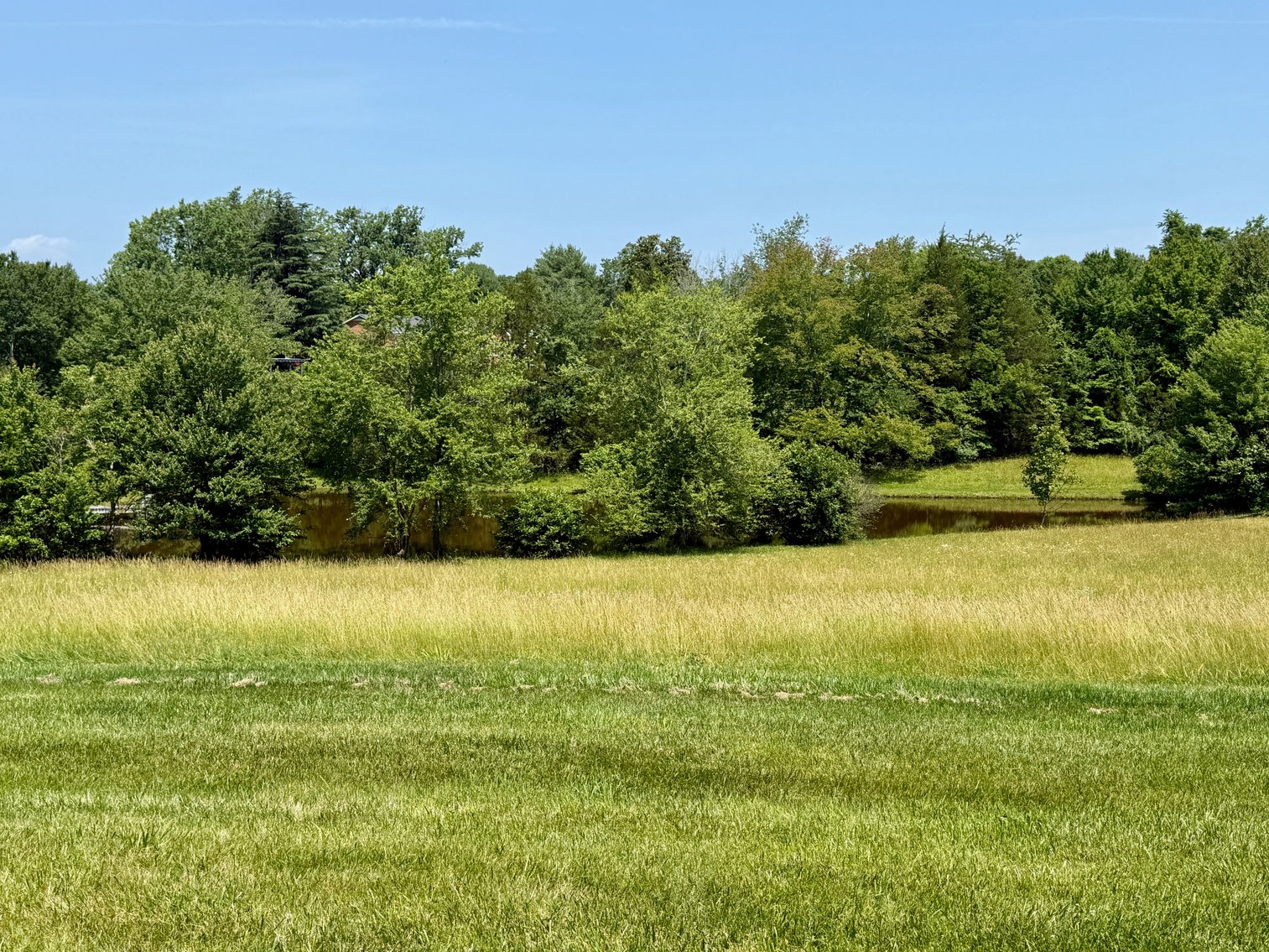 Image for 3 BR/3.5 BA Home w/Barn, Shop Building & Large Pond on 17.88 +/- Acres in Madison County, VA--SELLING to the HIGHEST BIDDER!!