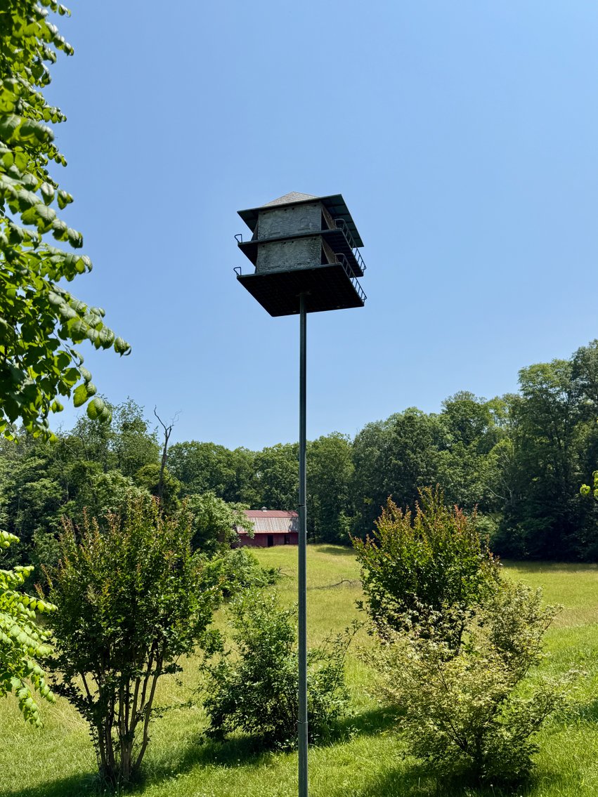 Image for 3 BR/3.5 BA Home w/Barn, Shop Building & Large Pond on 17.88 +/- Acres in Madison County, VA--SELLING to the HIGHEST BIDDER!!