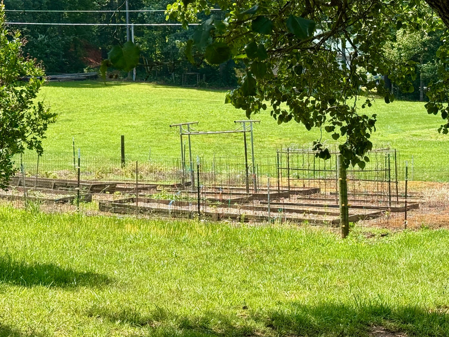 Image for 3 BR/3.5 BA Home w/Barn, Shop Building & Large Pond on 17.88 +/- Acres in Madison County, VA--SELLING to the HIGHEST BIDDER!!