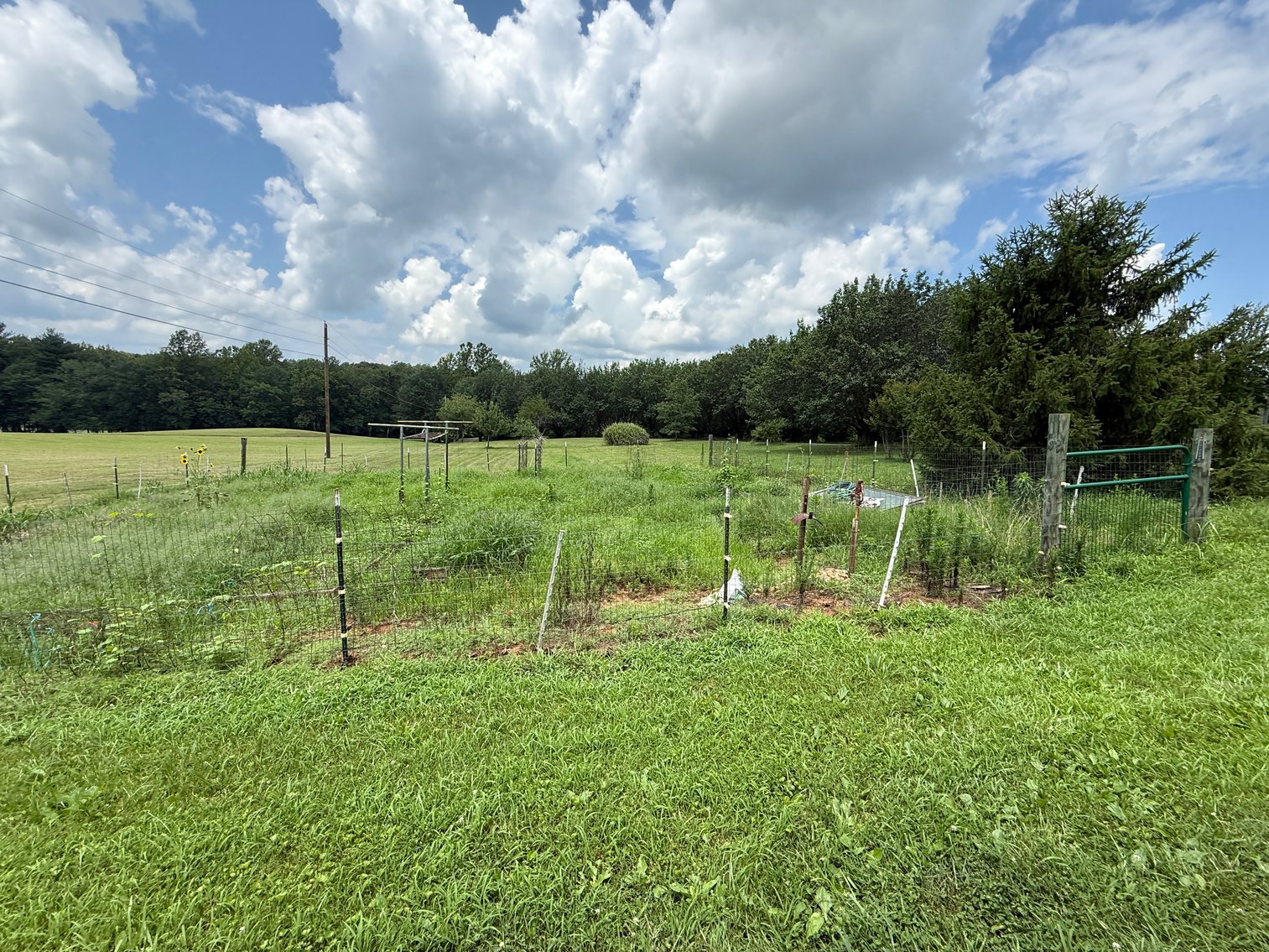 Image for 3 BR/3.5 BA Home w/Barn, Shop Building & Large Pond on 17.88 +/- Acres in Madison County, VA--SELLING to the HIGHEST BIDDER!!